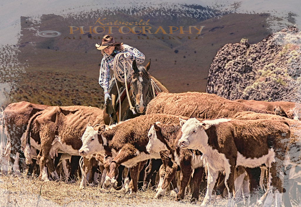 COWGIRL ROUND UP