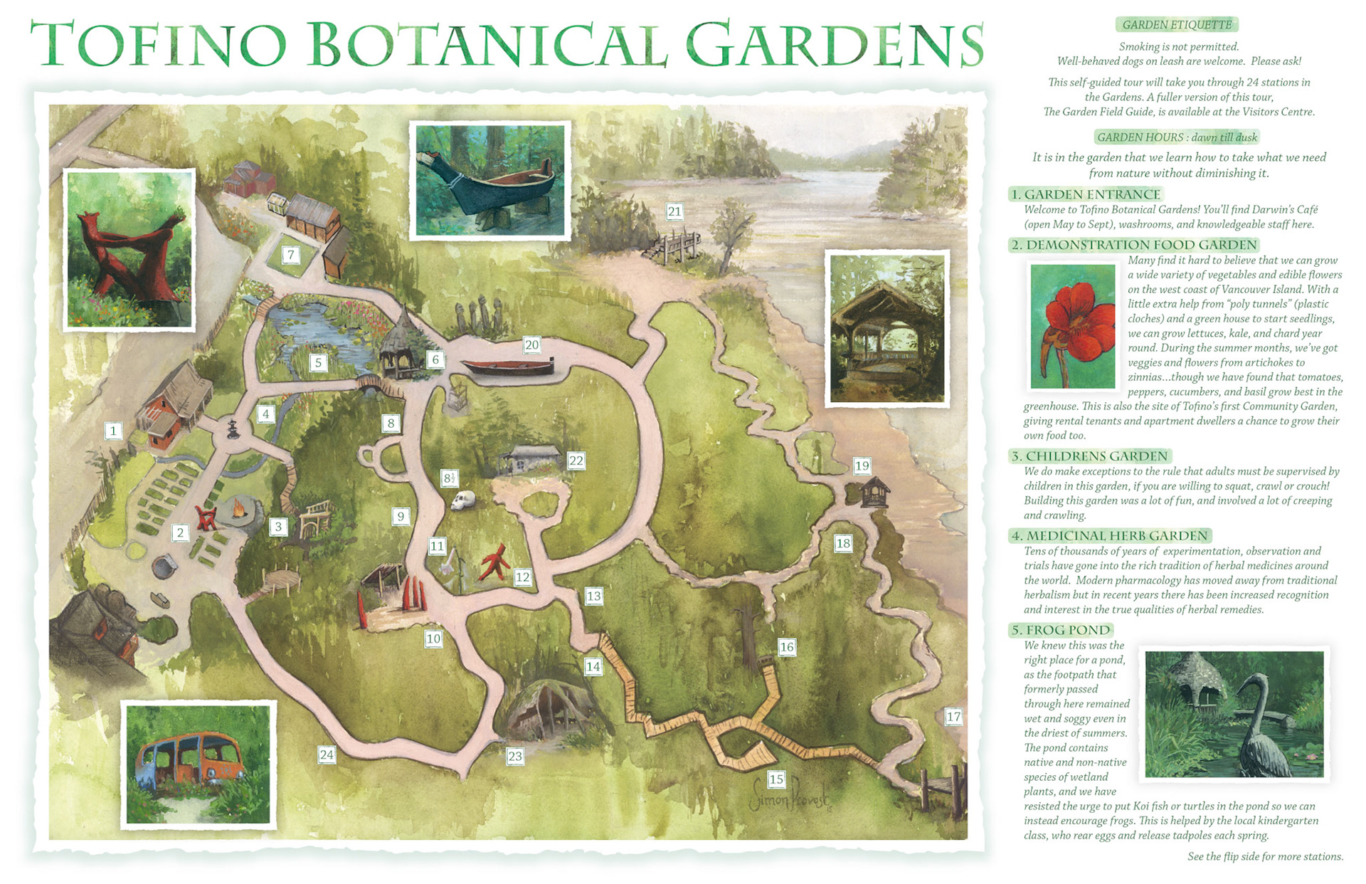 TBGF map