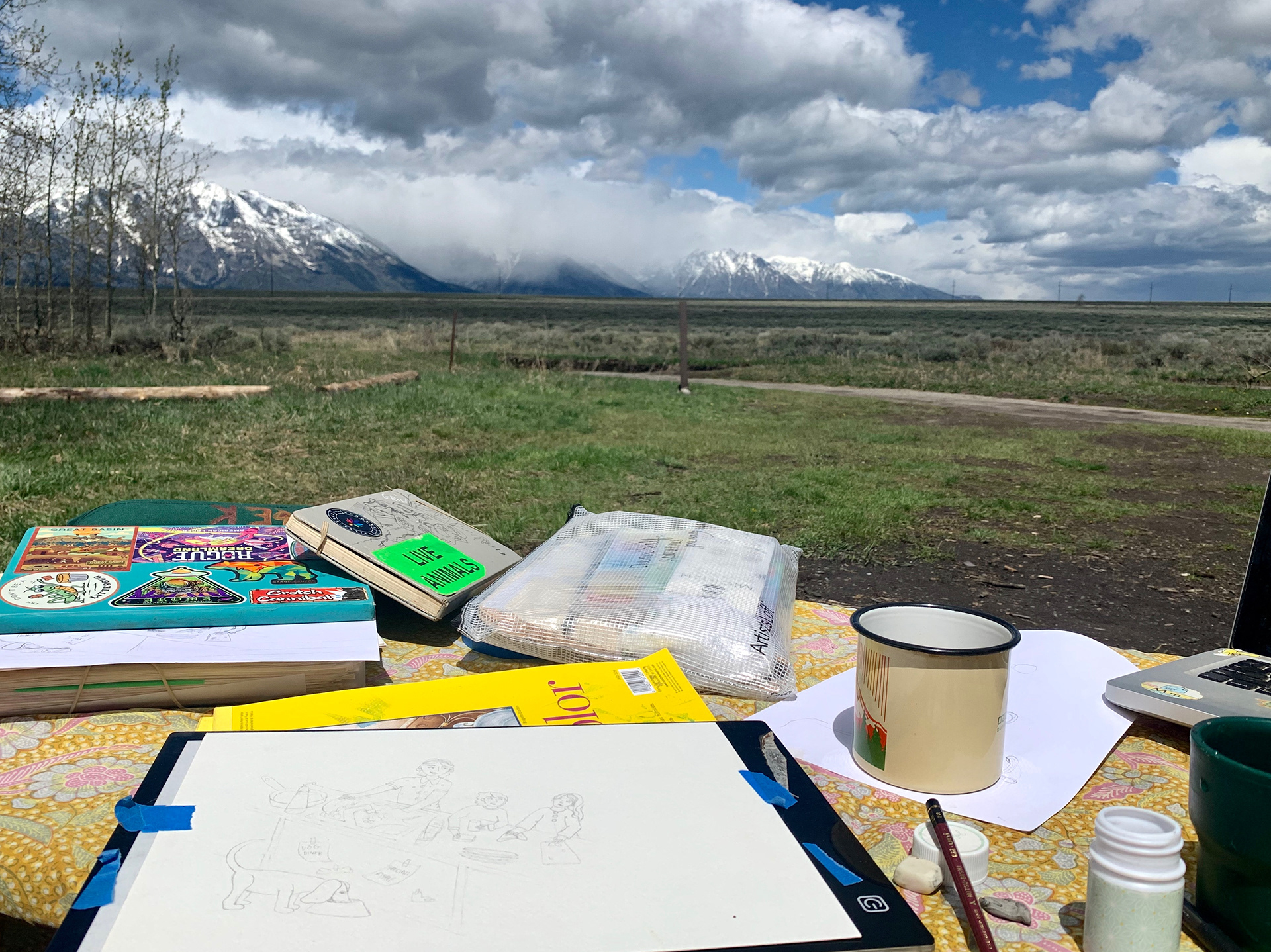Grand Tetons, WY