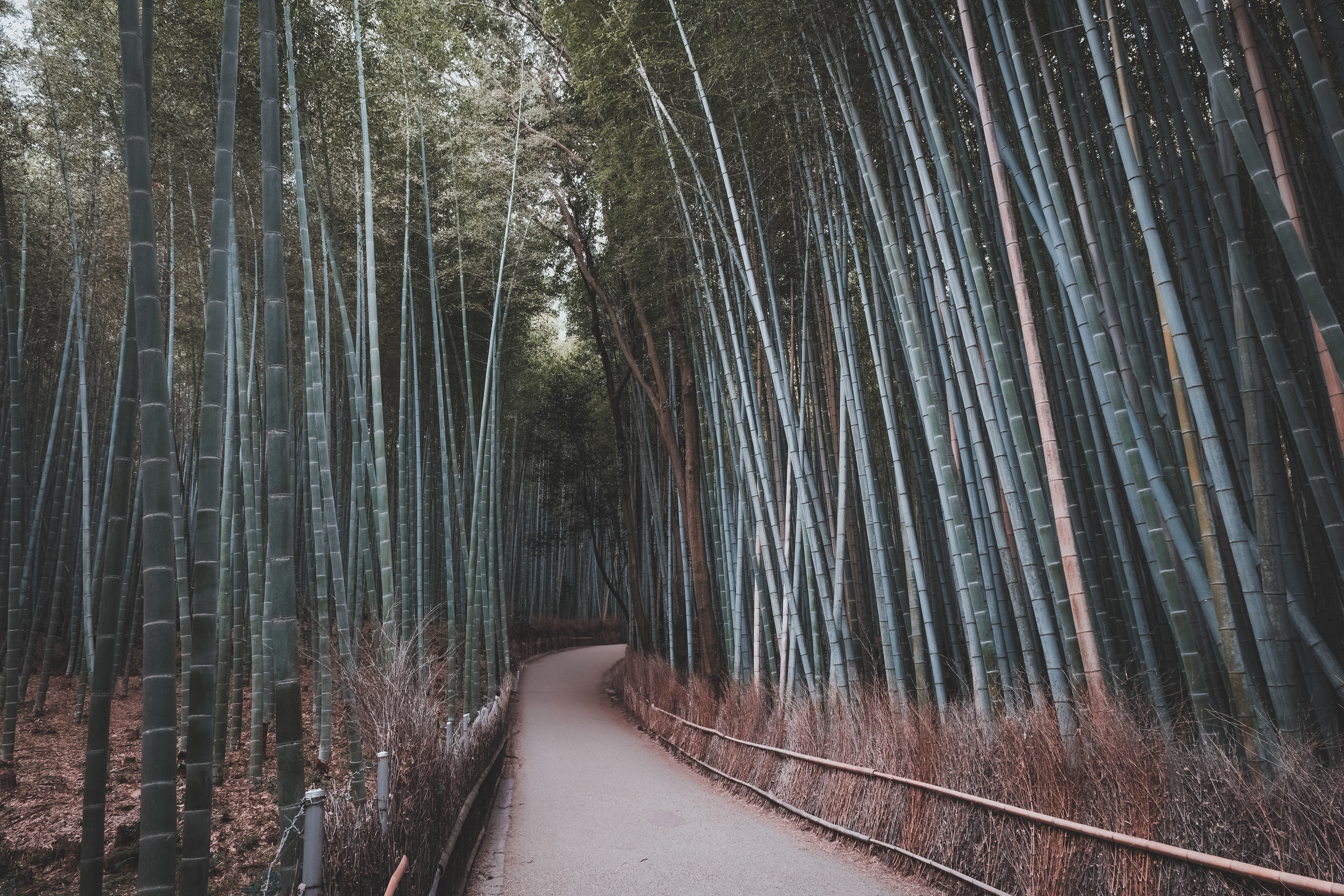 Japan - 2023