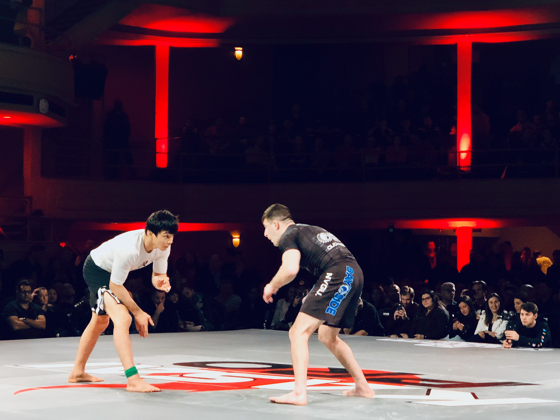 Miyao vs. Rosenthal