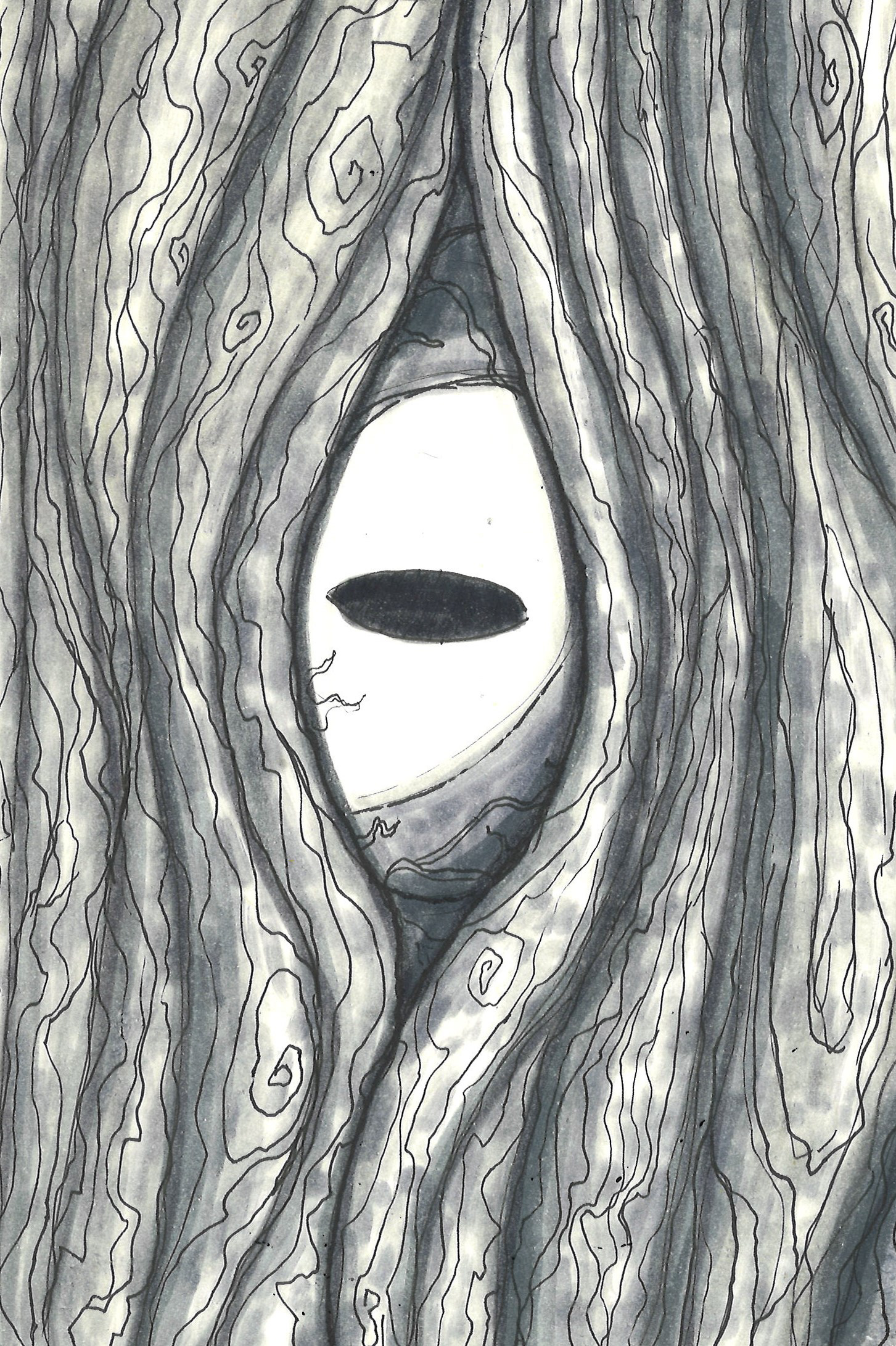 The bark of the tree opening, seeing the eye of the dragon hidden within