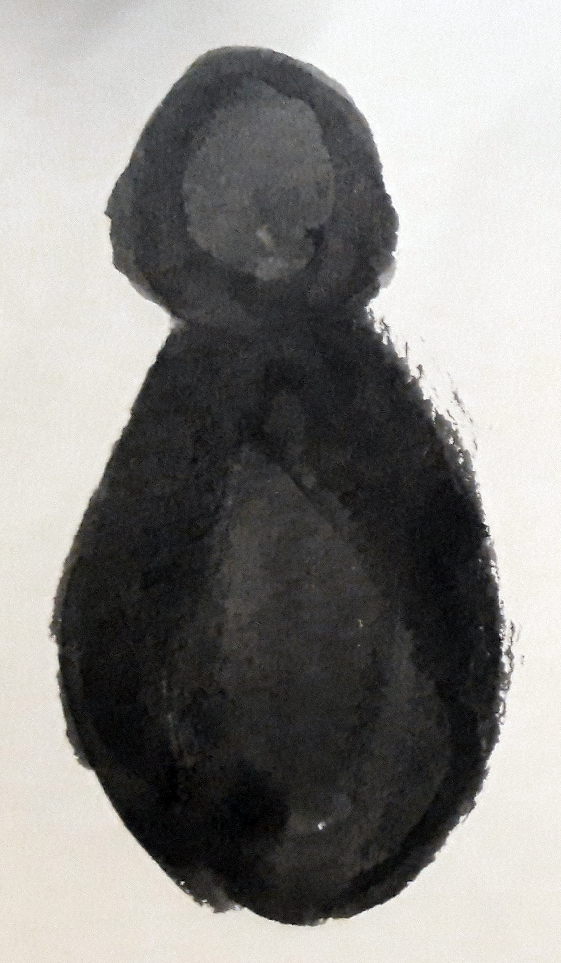 Silhouette