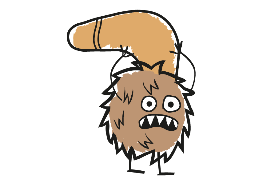 Boomerang-whooly
