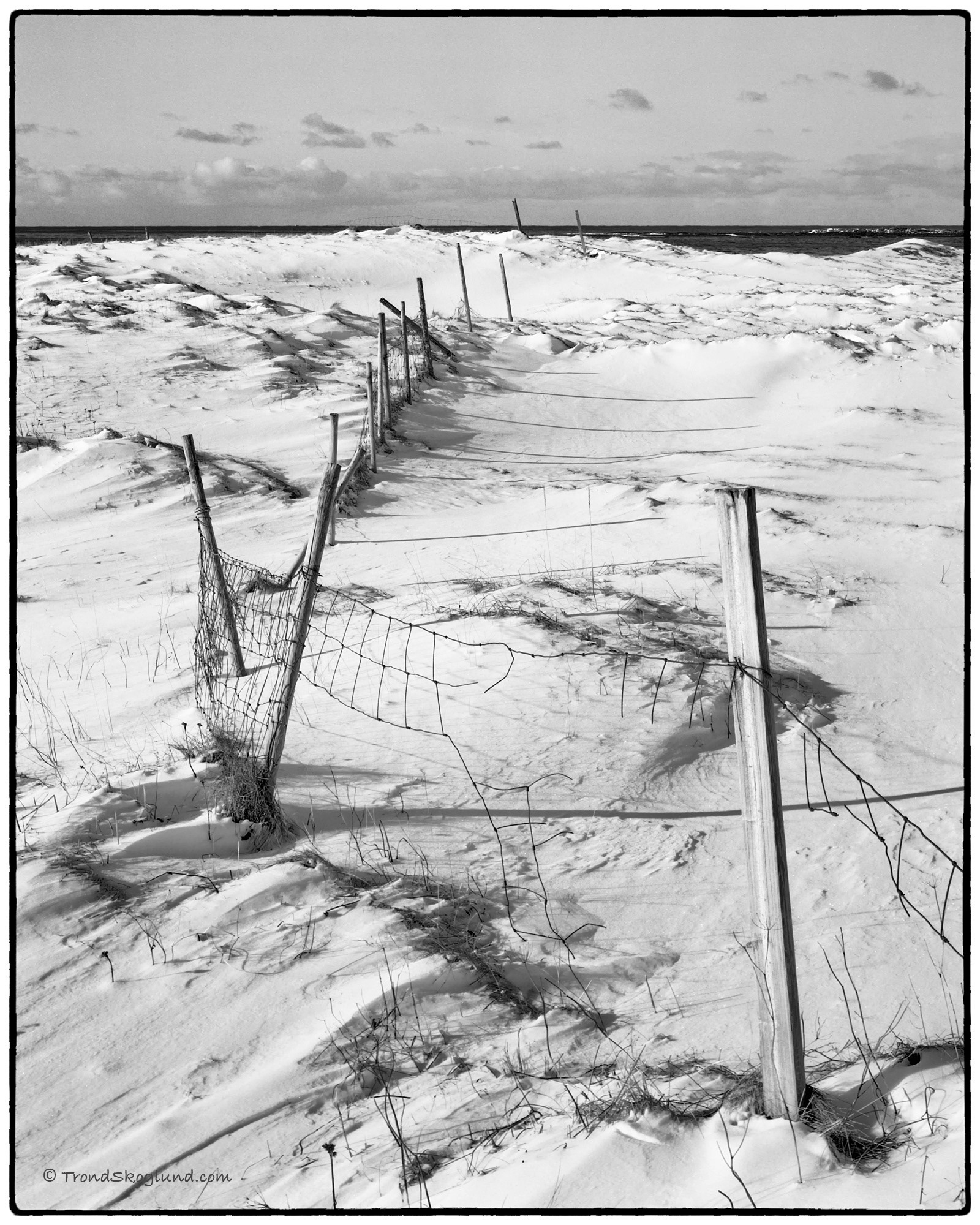 Kystlandskap / Coastal landscape # 6