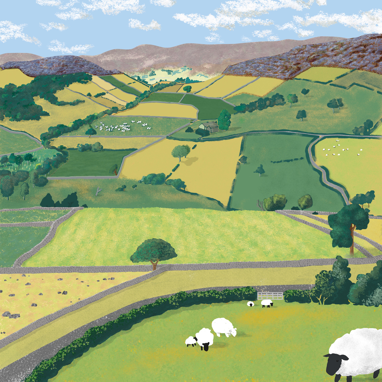 Hill top landscape - current view