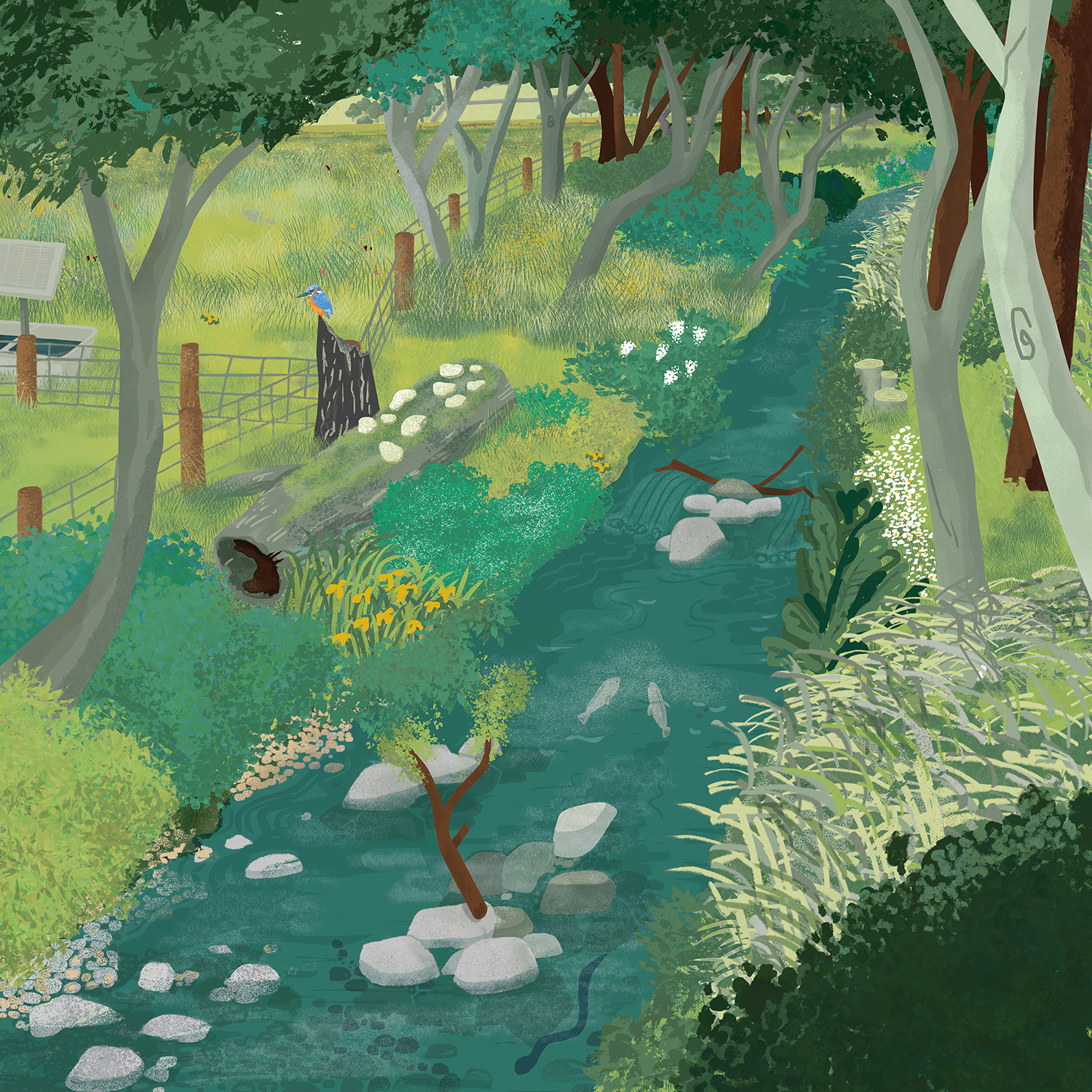 Riparian perspective - 30 year projection