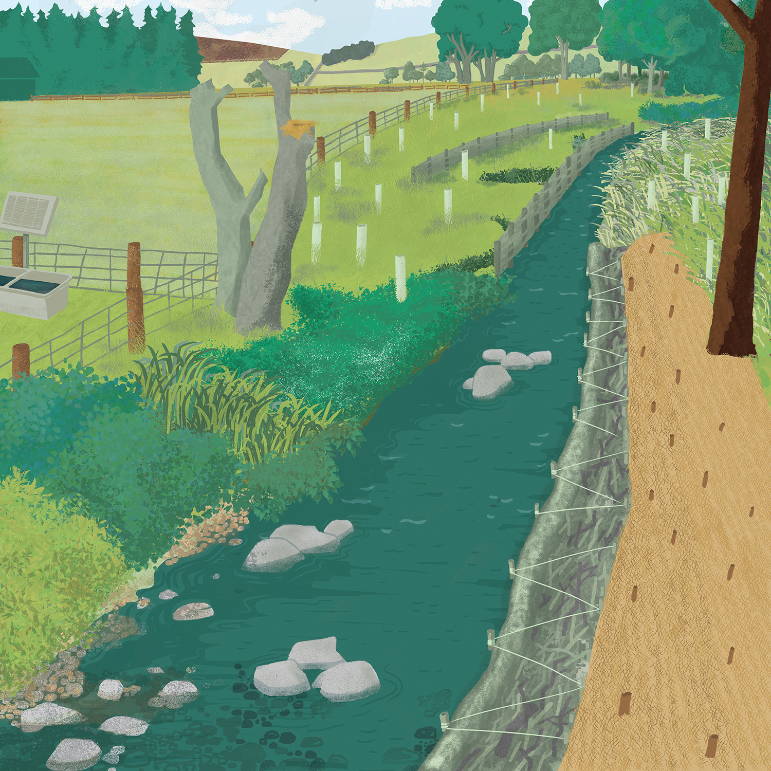 Riparian perspective - 5 year projection