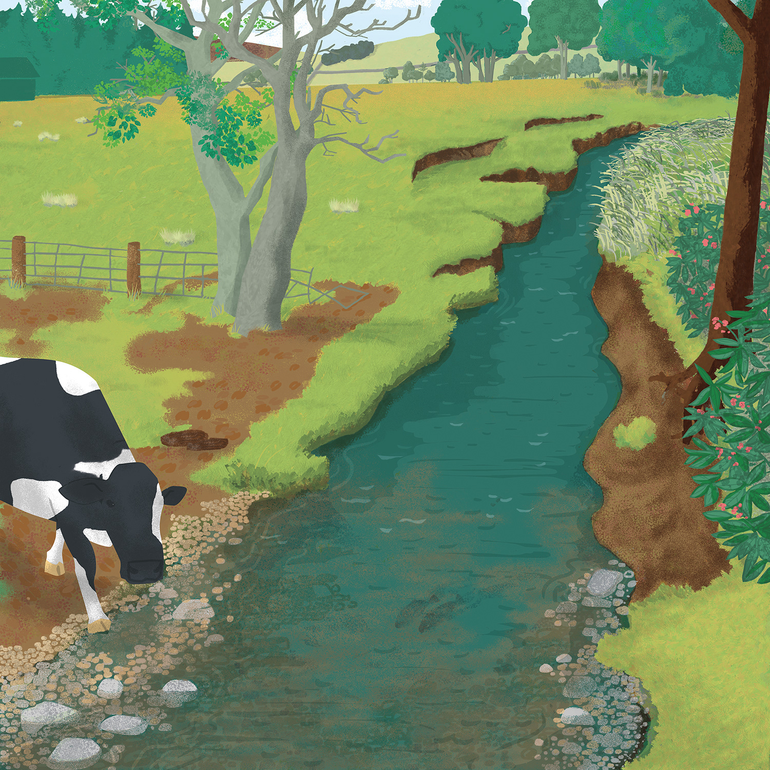 Riparian perspective - current view