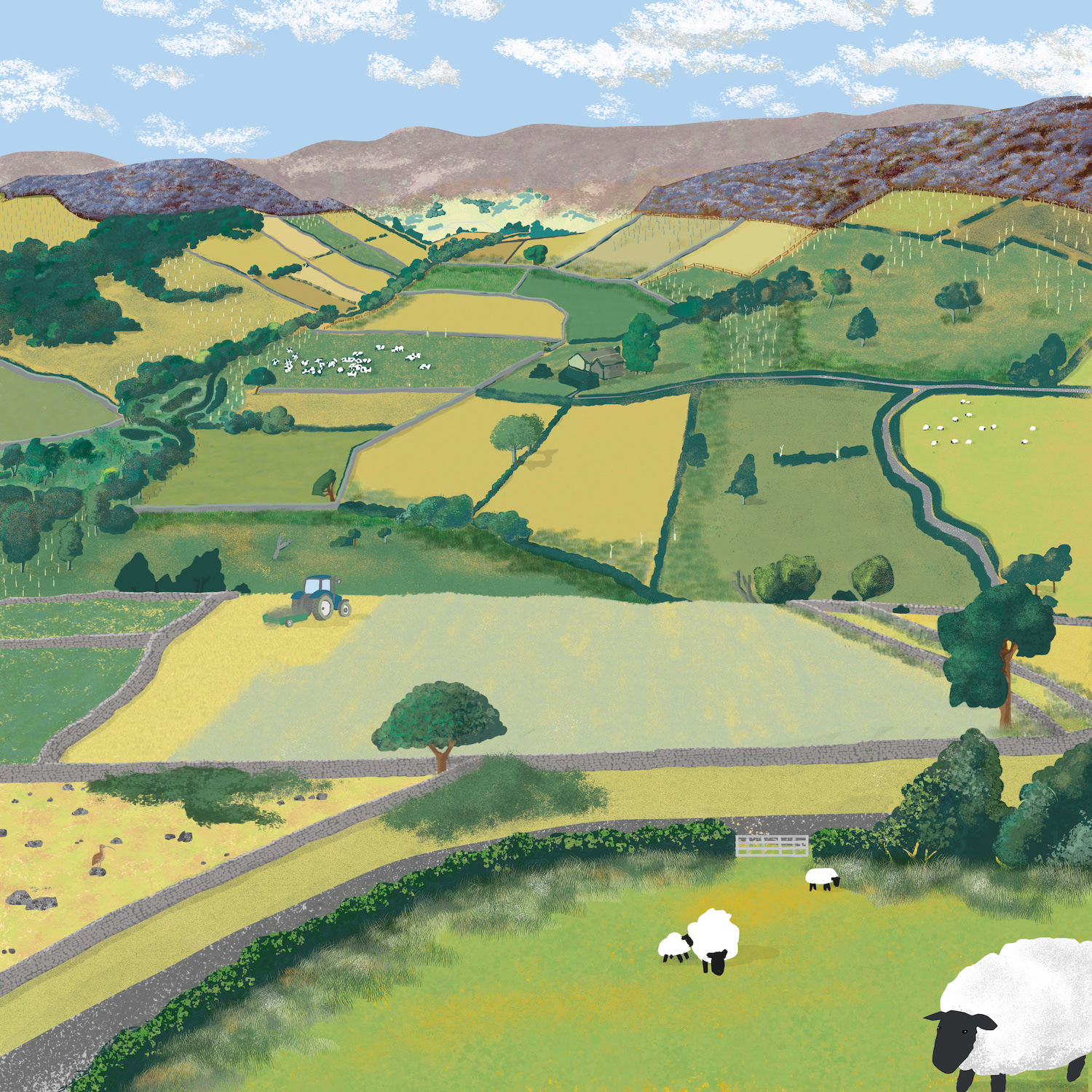 Hill top landscape - 5 years time
