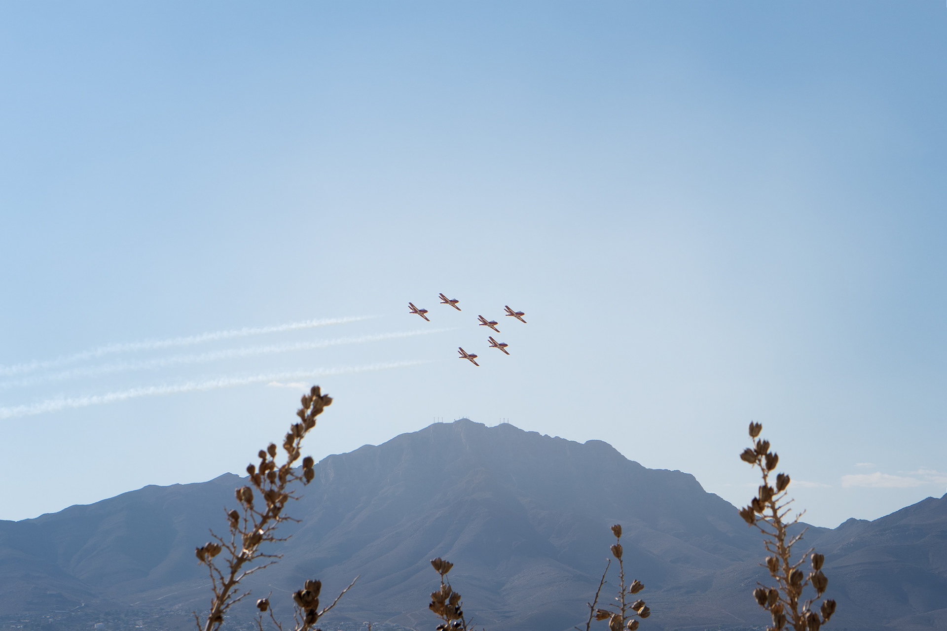 The Canadian Snowbirds