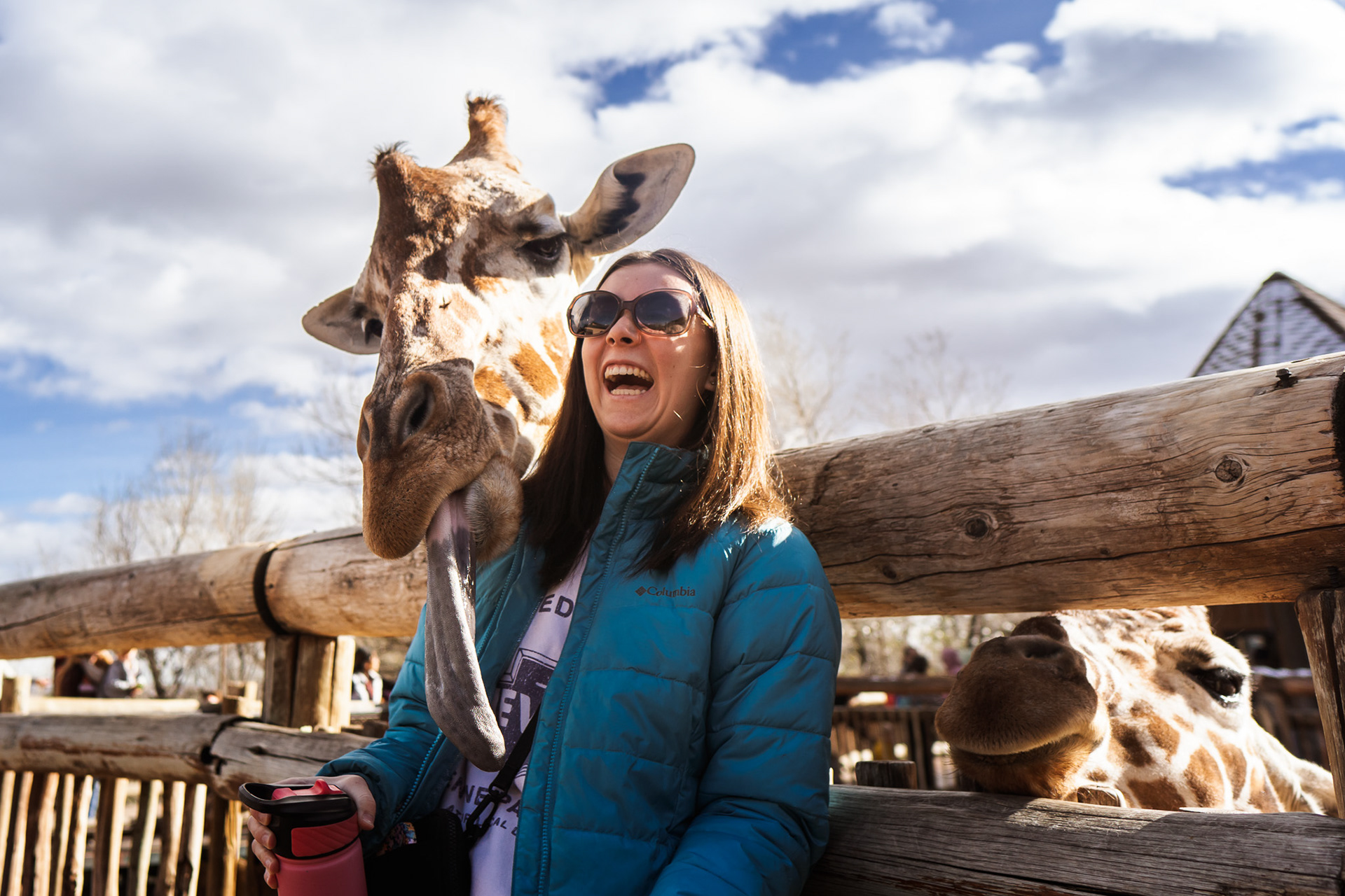 Maddie and the hungry giraffe, trying to get the lettuce in her had that's out of frame