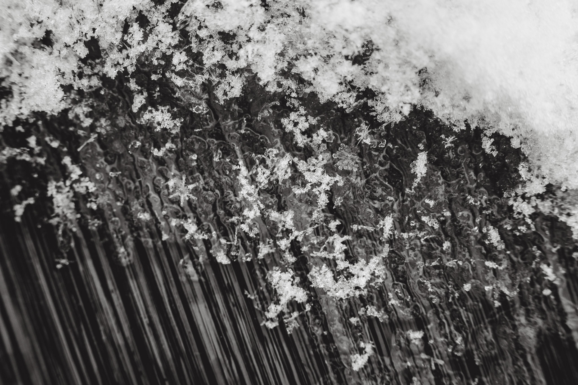 look carefully and see the beauty of the flakes