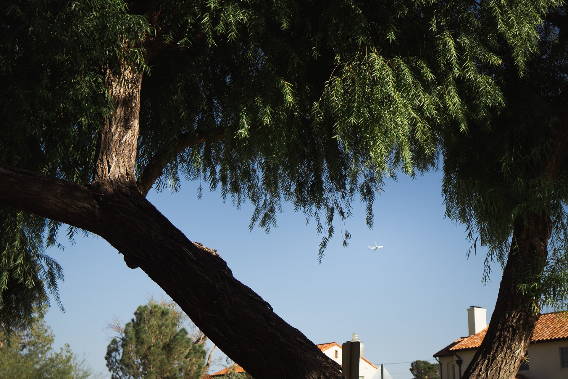 We saw his plane fly off into the sunset