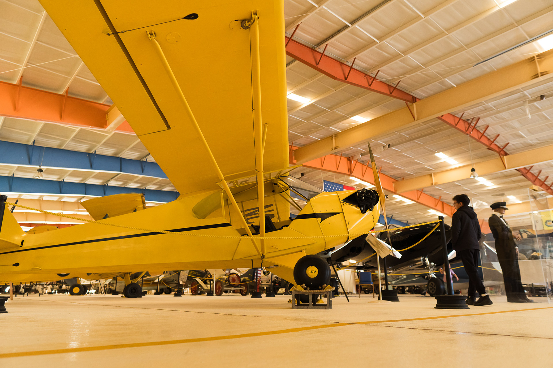 Piper J-3 Cub, the oldest aircraft in the hanger