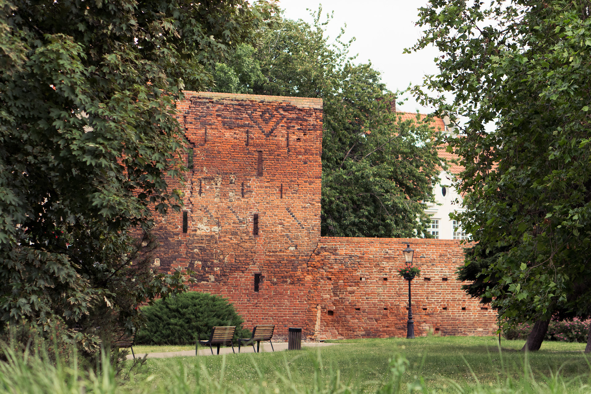 14th century defensive wall. These were one of my favorite parts of the city. They once surrounded the city, now you just see pieces of them here and there.