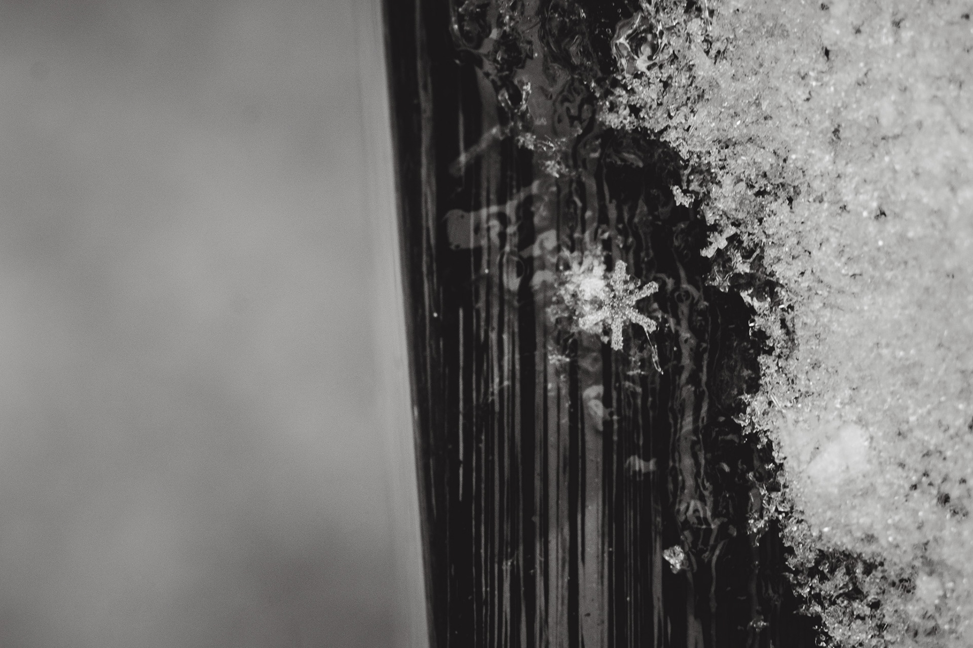 Macro snowflakes