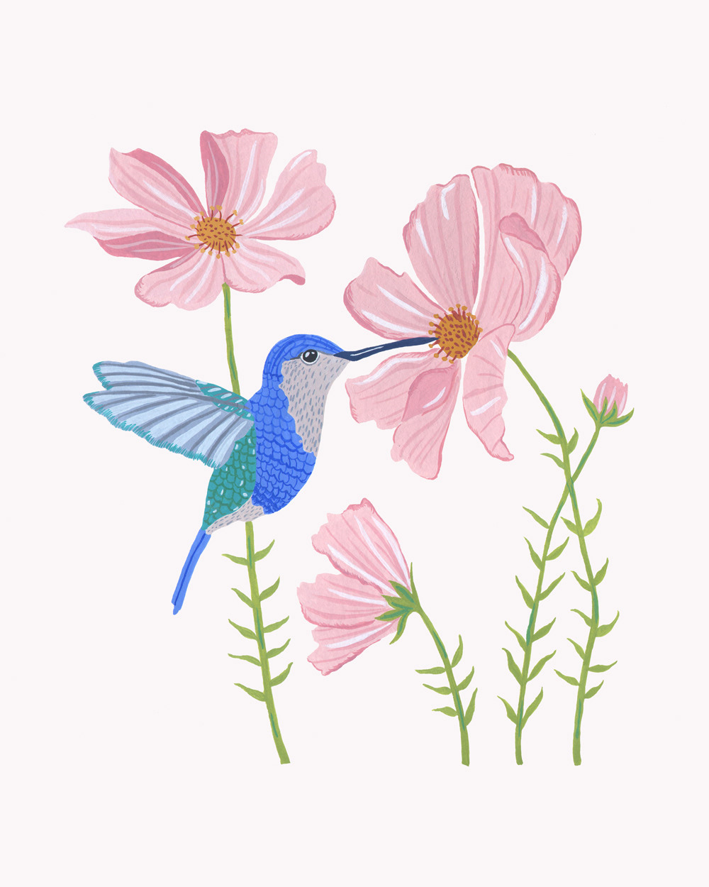 Hummingbird