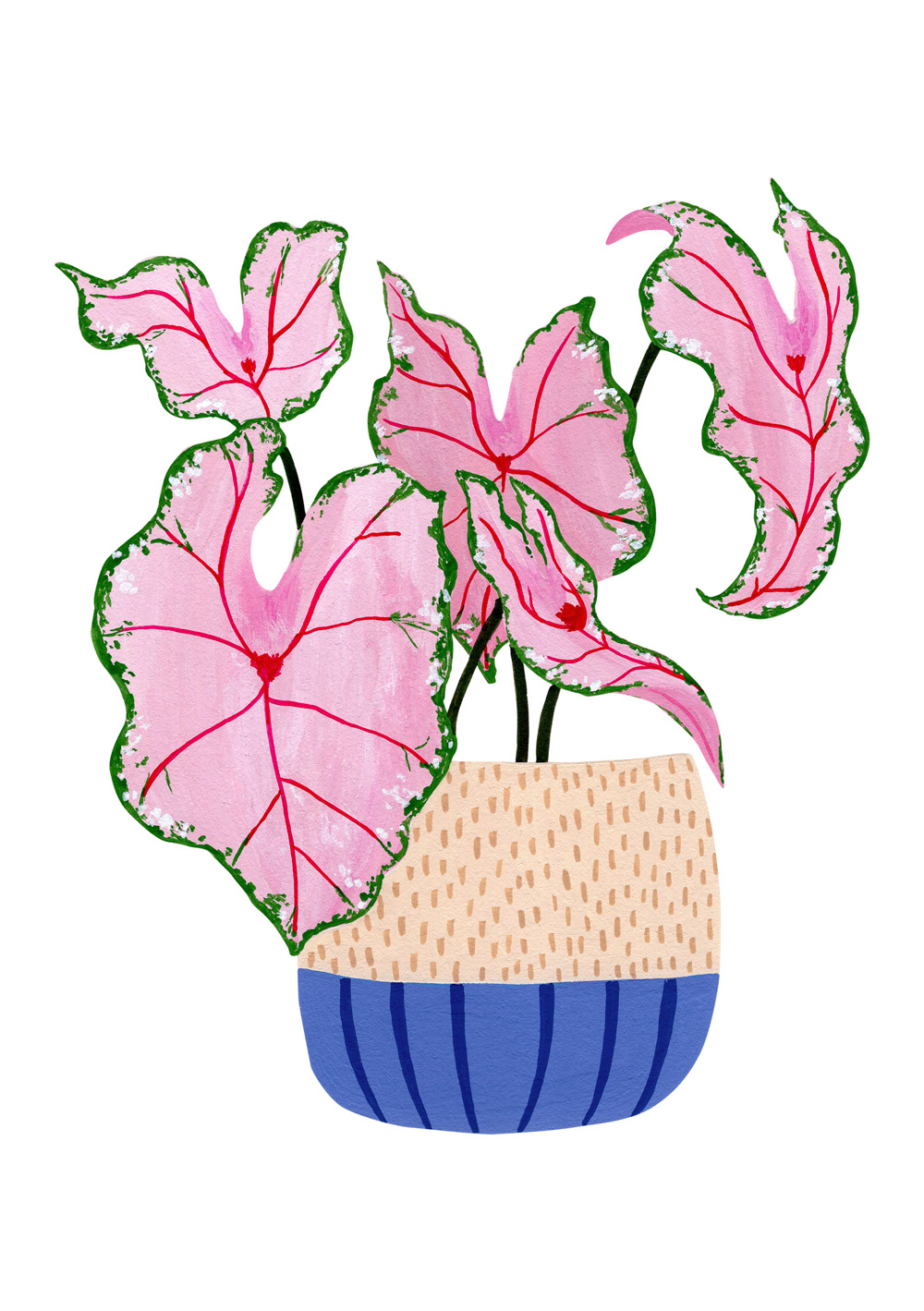 Pink Potted Plant