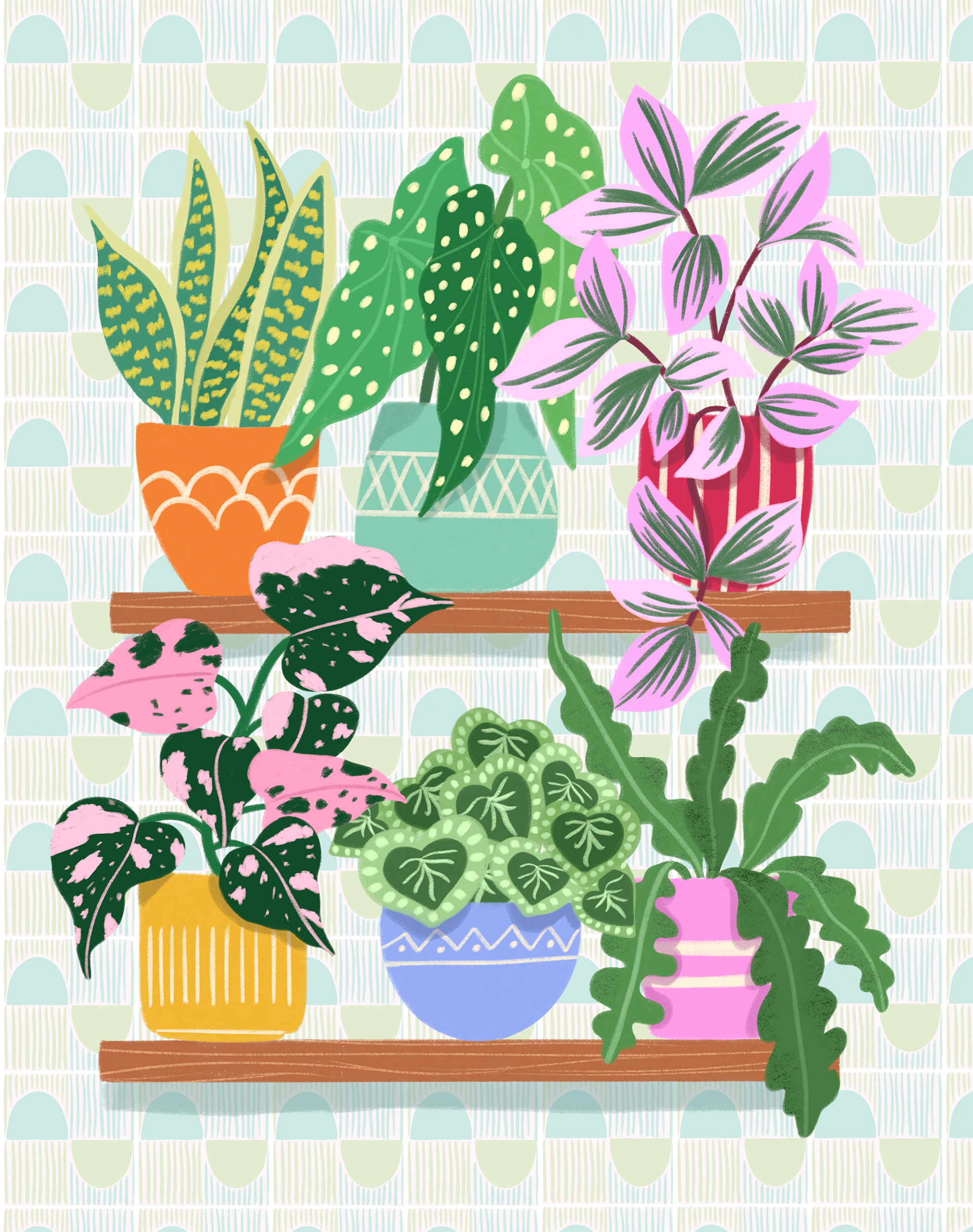 Plant Corner