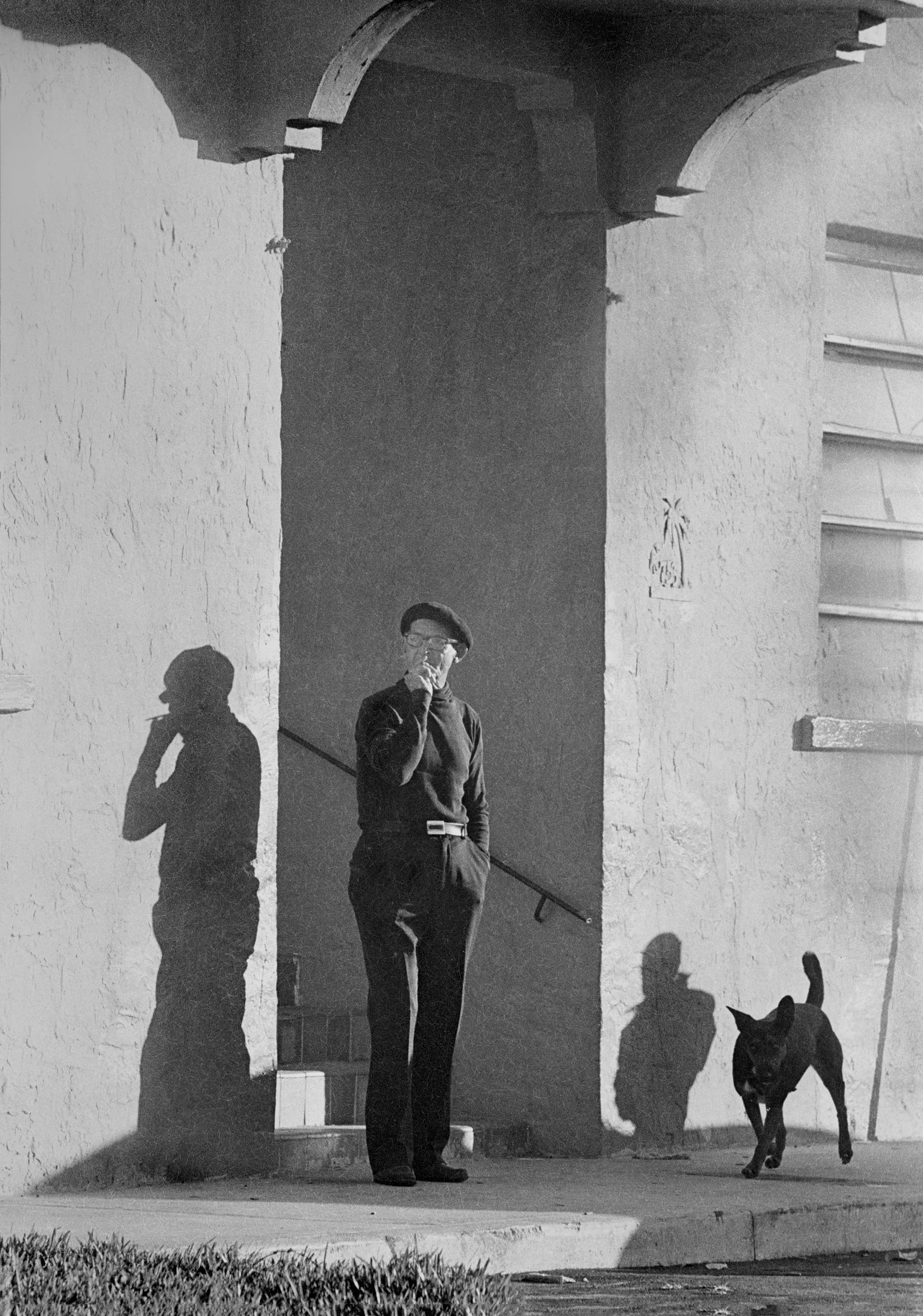 'Afternoon Shadow"