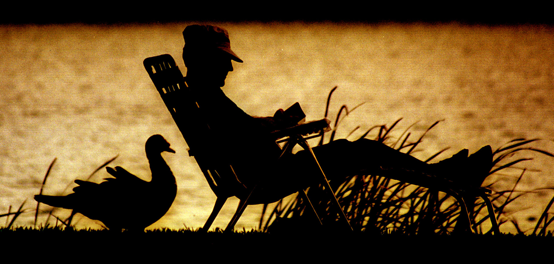 "Hanging by the Lake"