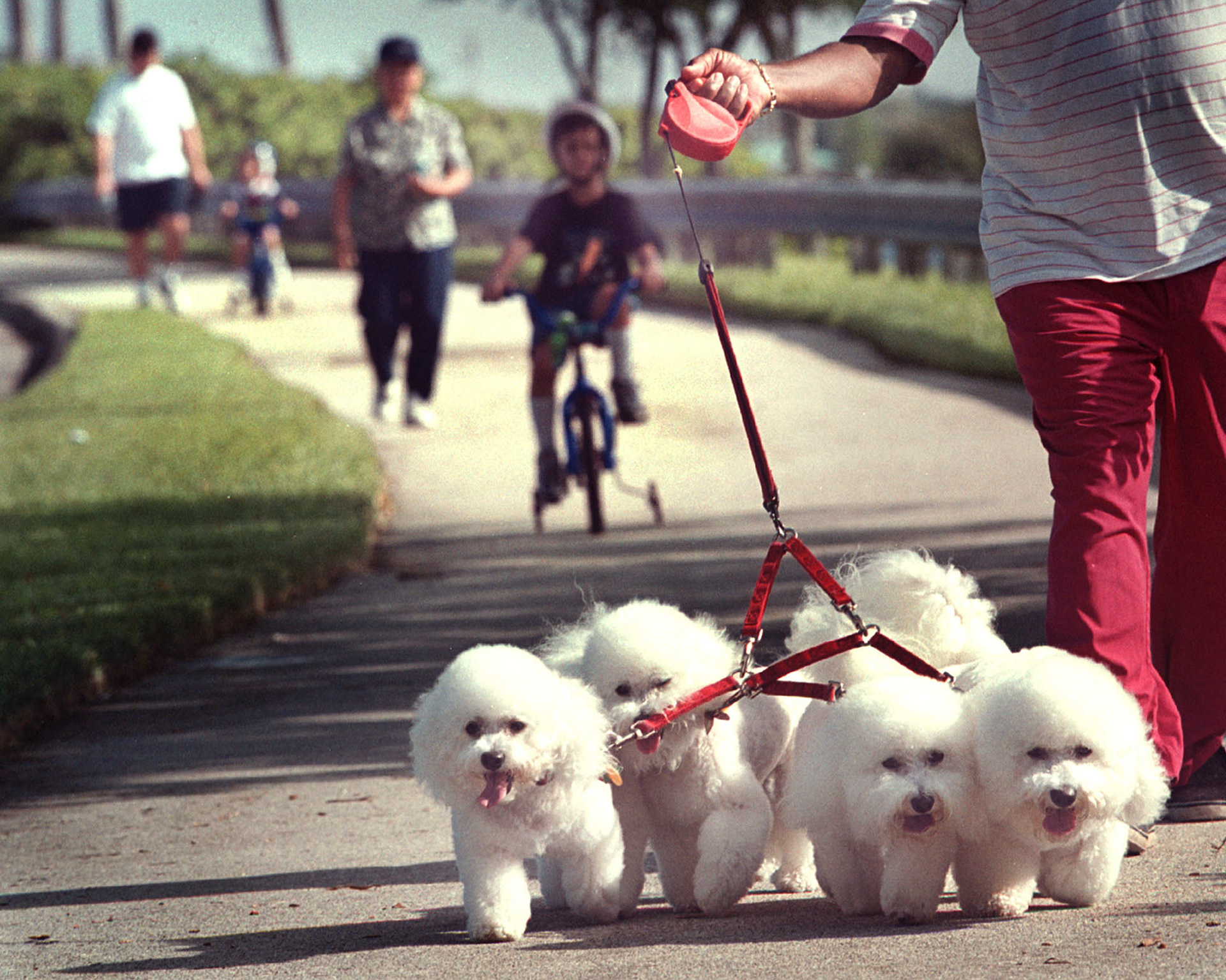 Residents make use of the many walkways. 