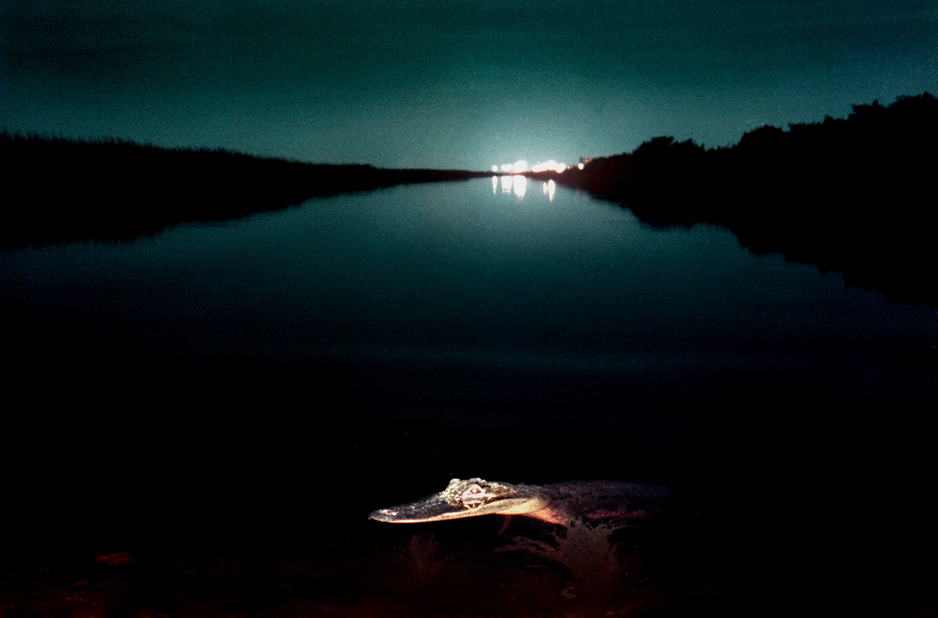Rest area and city lights fill the night sky at the edge of Everglades National Park.