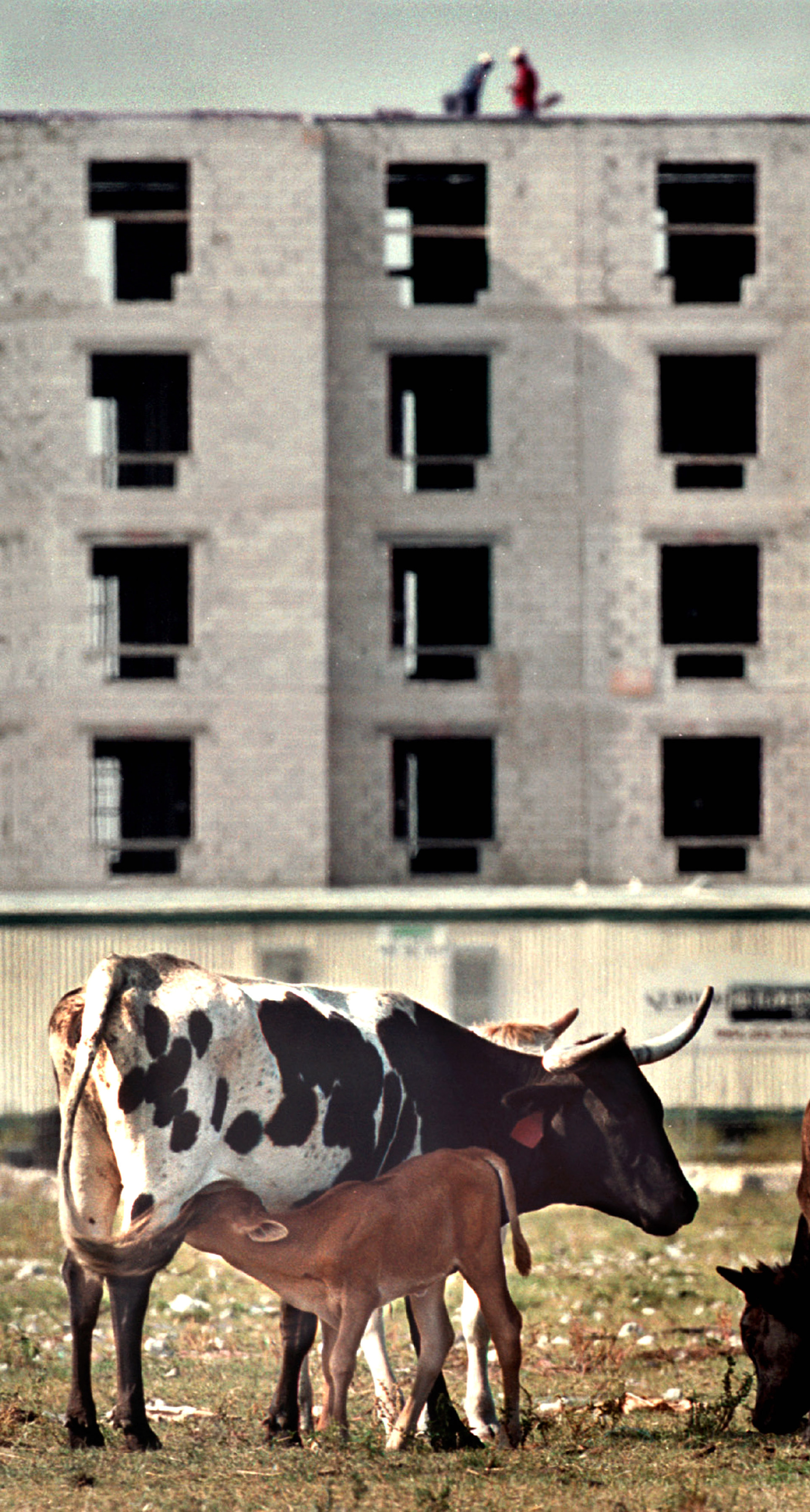 Inexpensive agricultural land has been transformed into profitable residential and commercial properties.