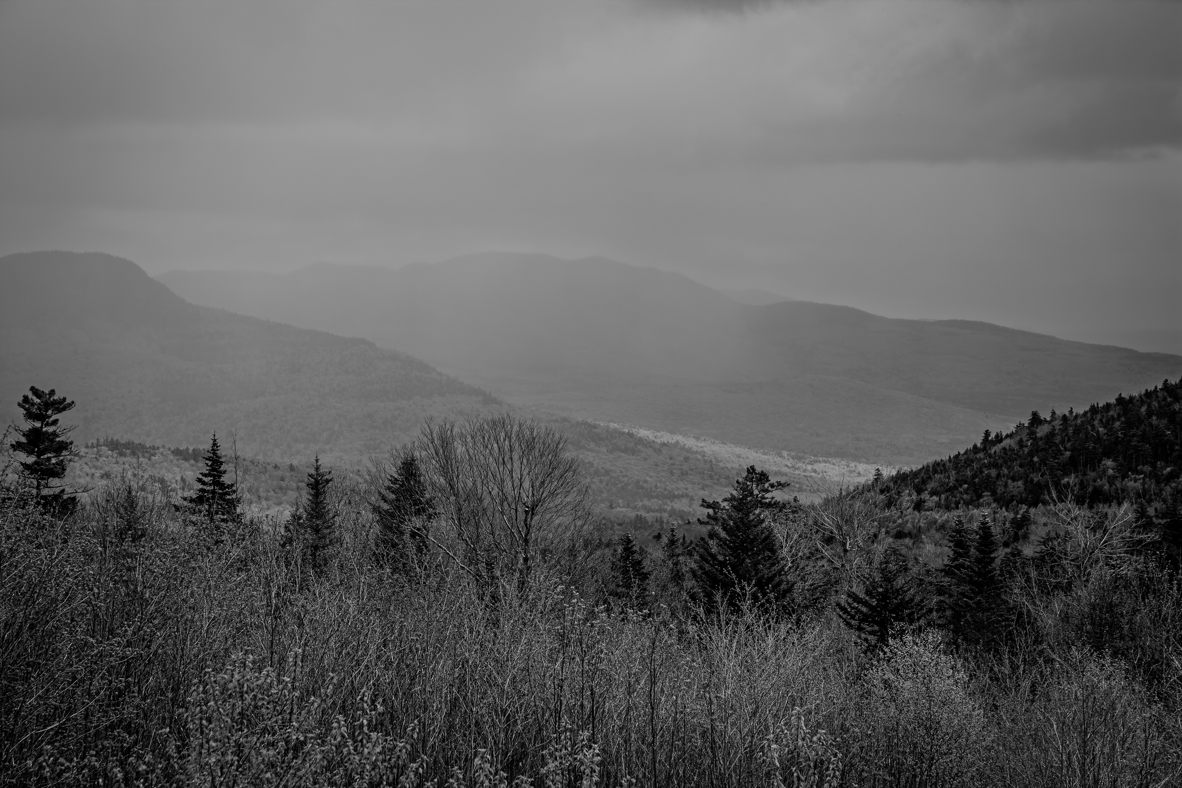 Graham Overlook No3