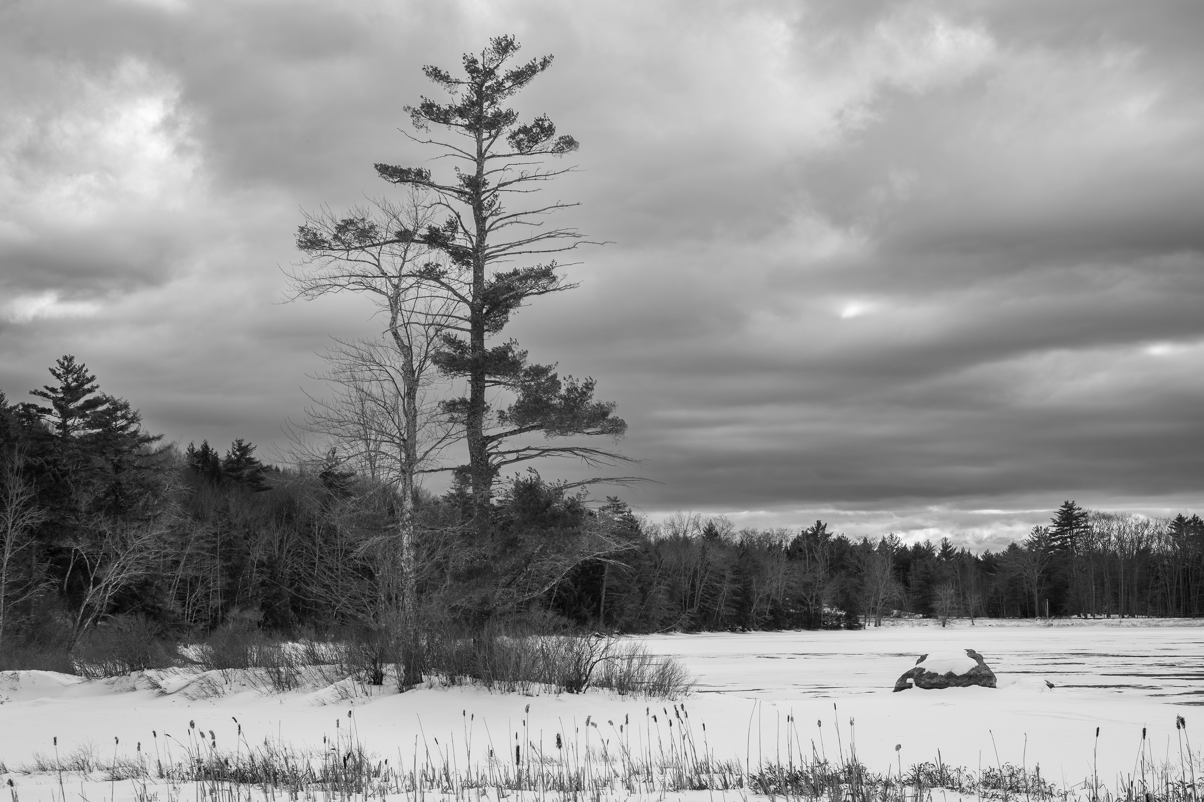 February - Rollins Pond - Gilmanton, NH No5