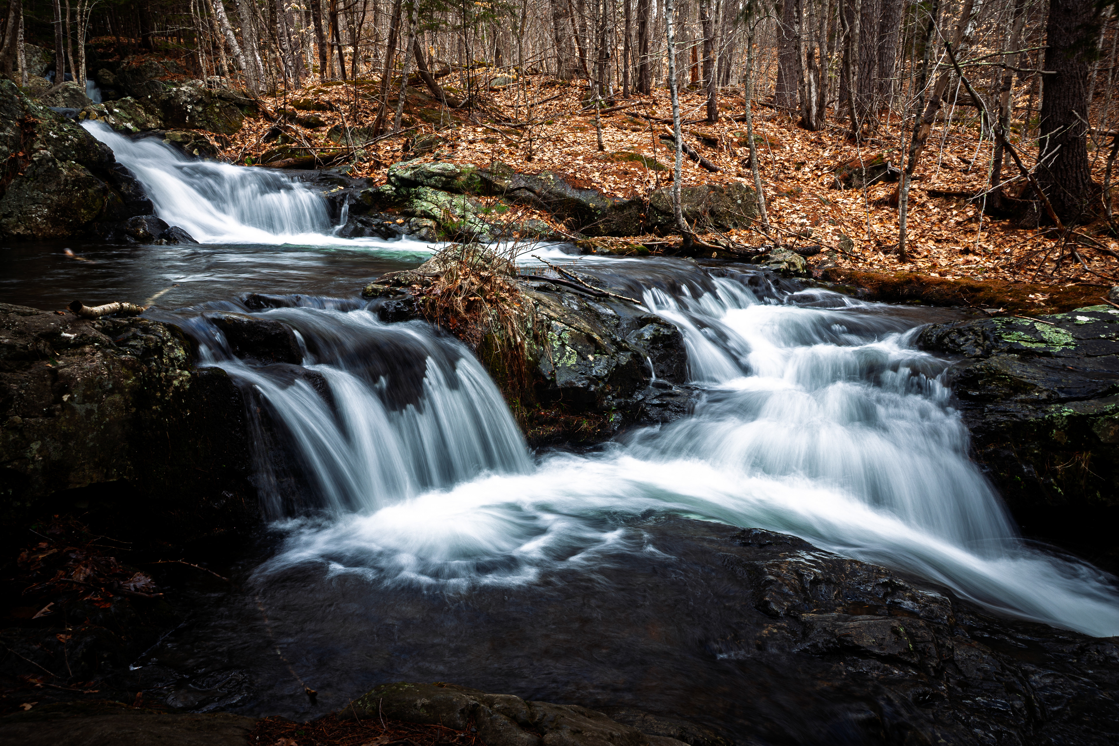 CITC Brook Walk - Twin Falls No14