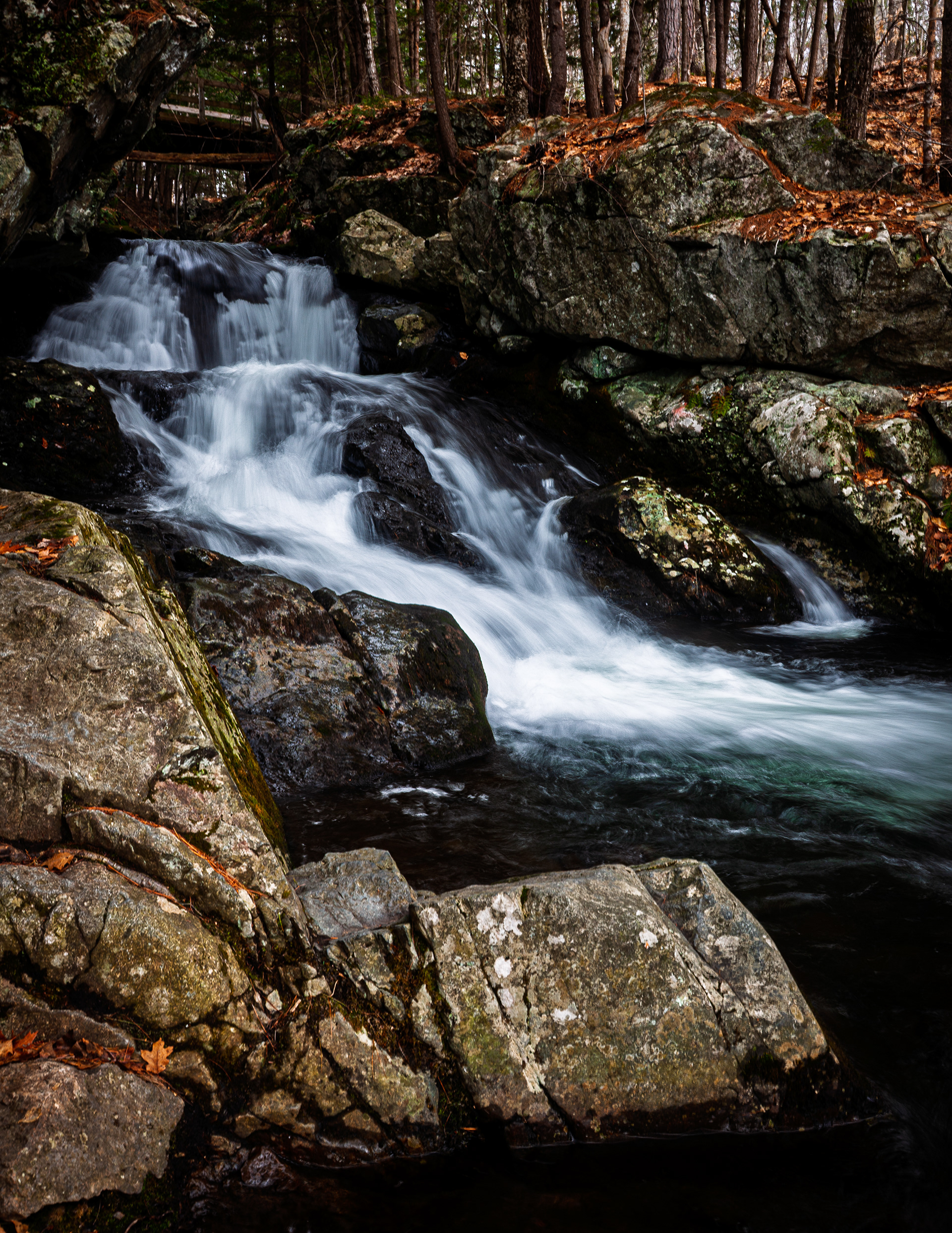 CITC Brook Walk - Roaring Falls No12