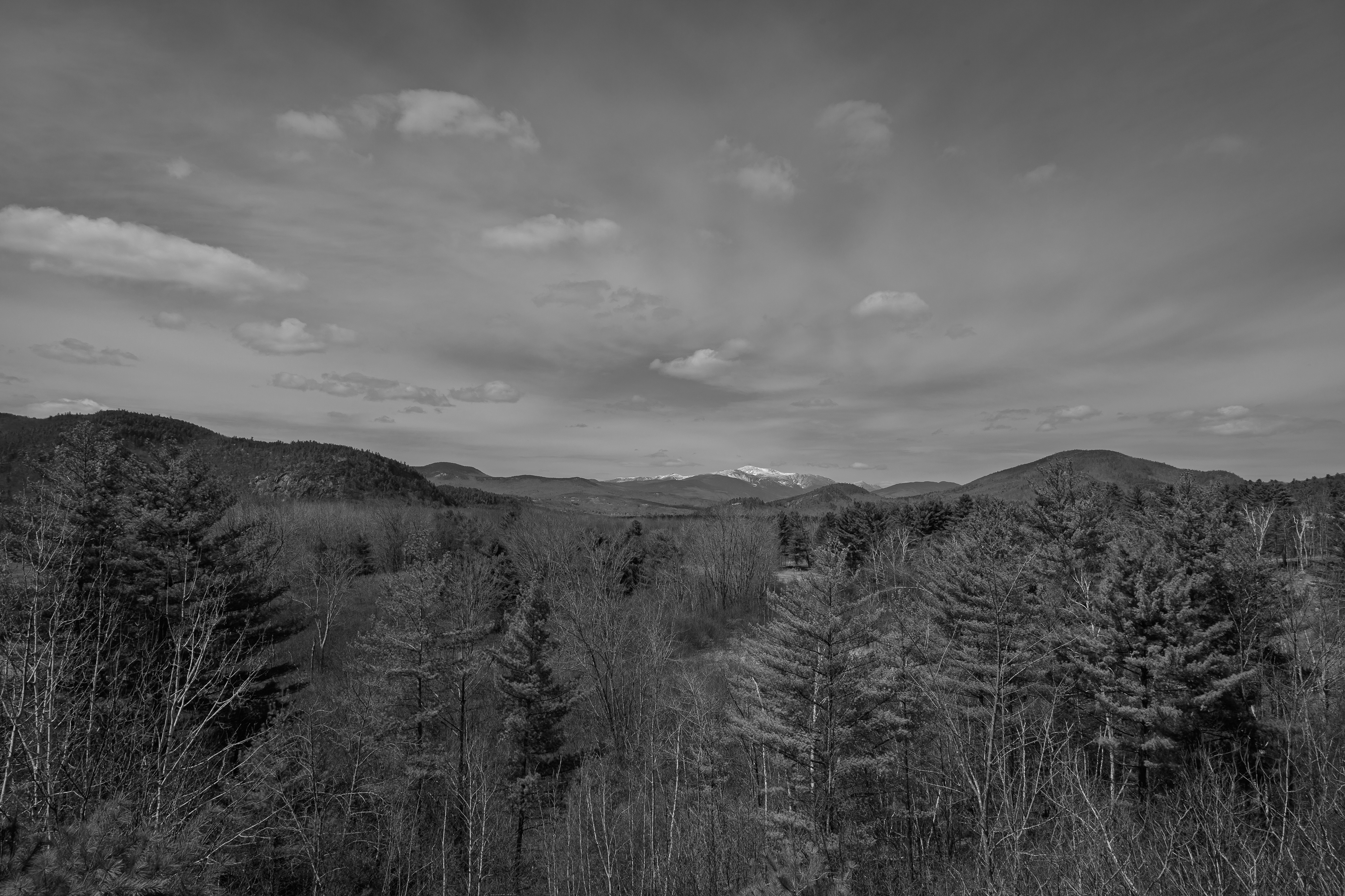 Mount Washington No5