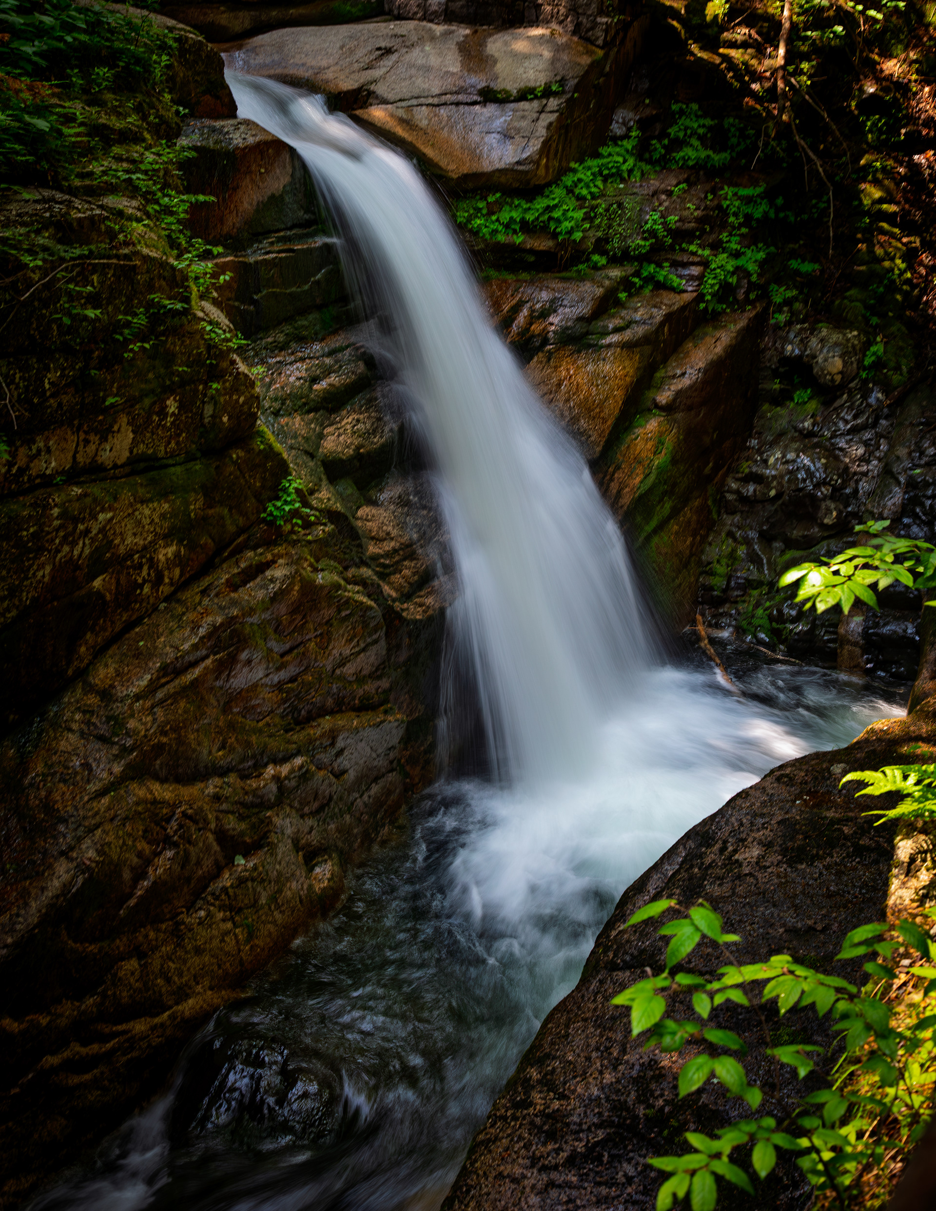 Sabbaday Falls - June 15, 2025