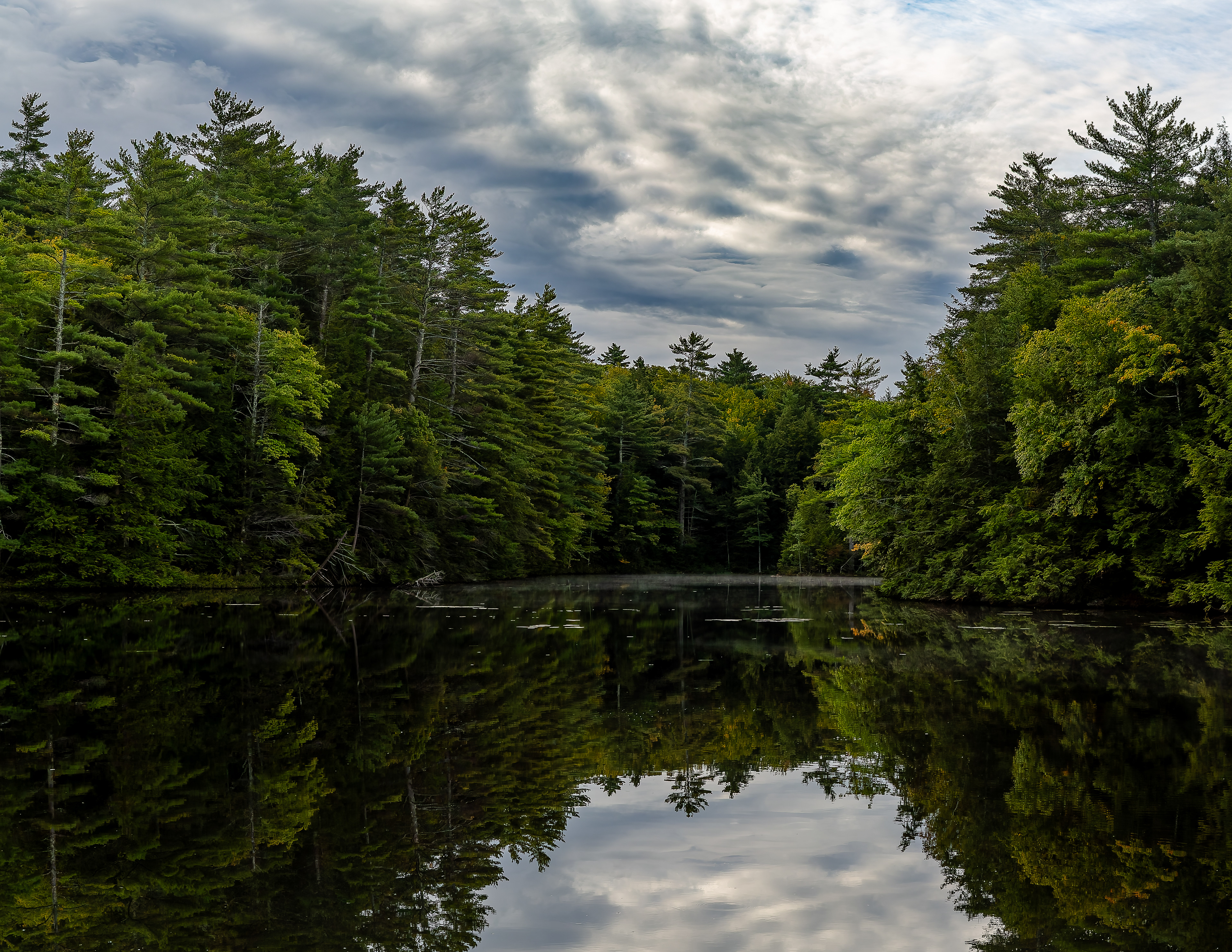 Shellcamp Reflections No3 - September 20, 2026