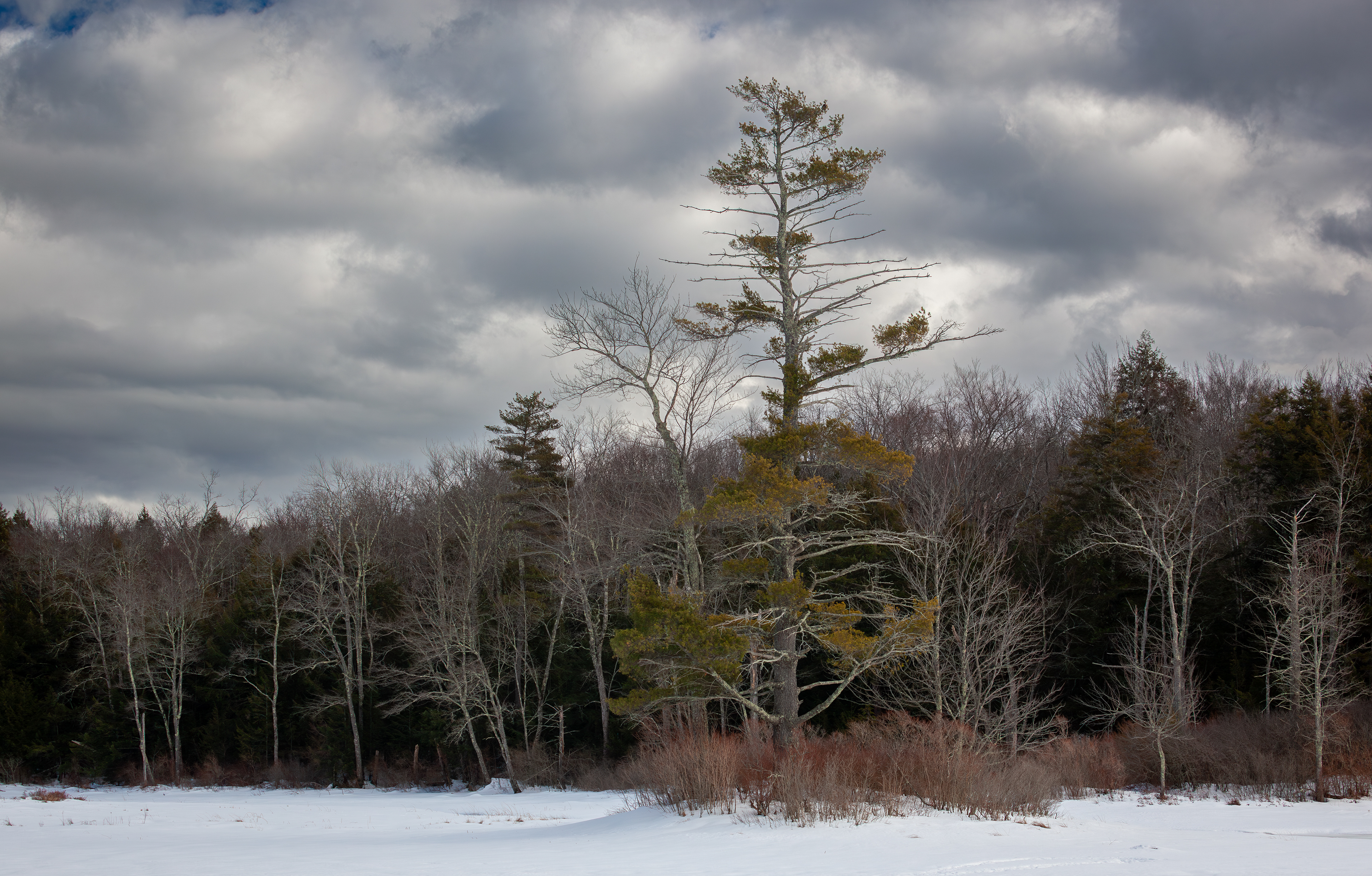 February - Rollins Pond - Gilmanton, NH No6