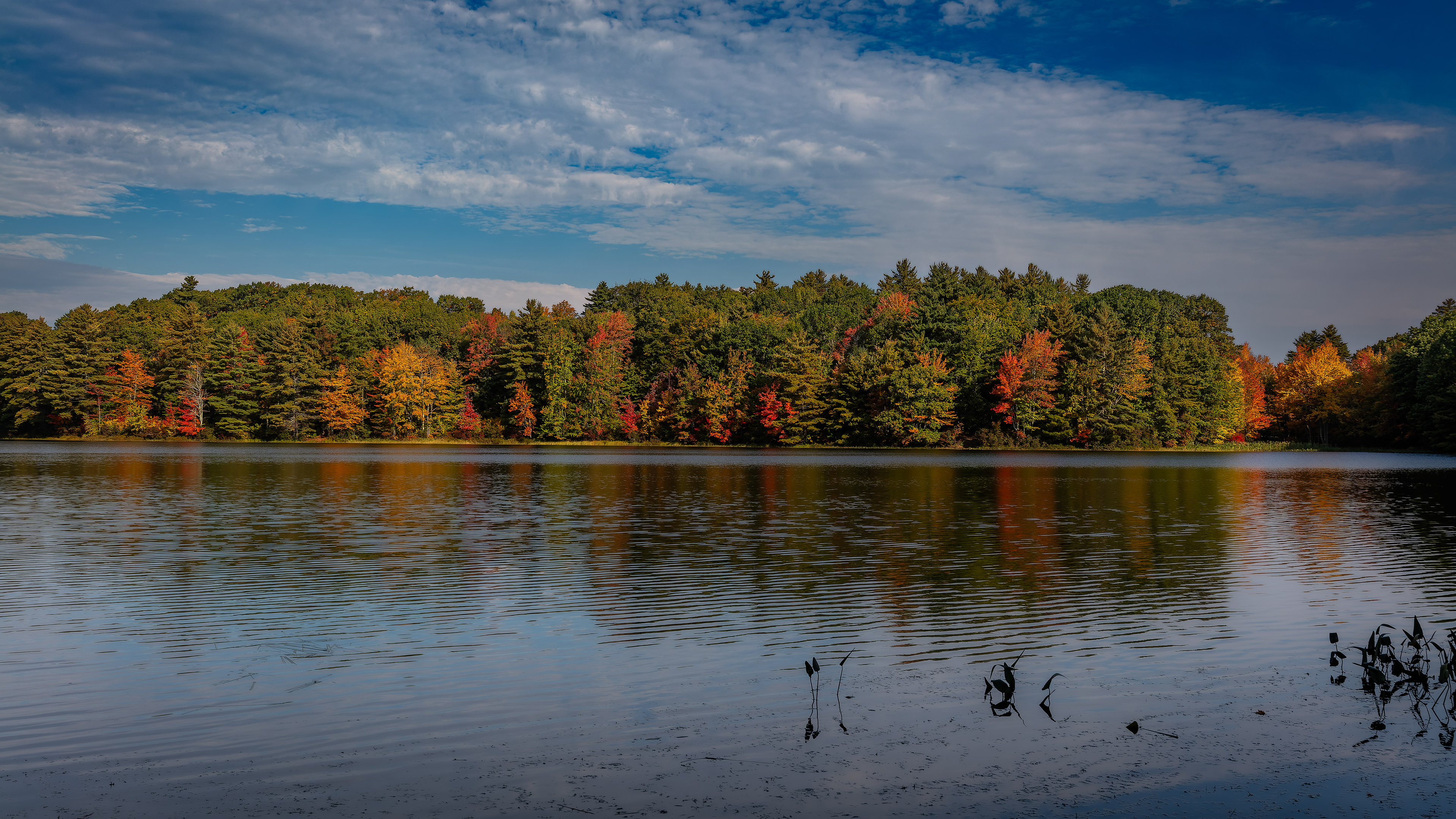 Meetinghouse Pond No3