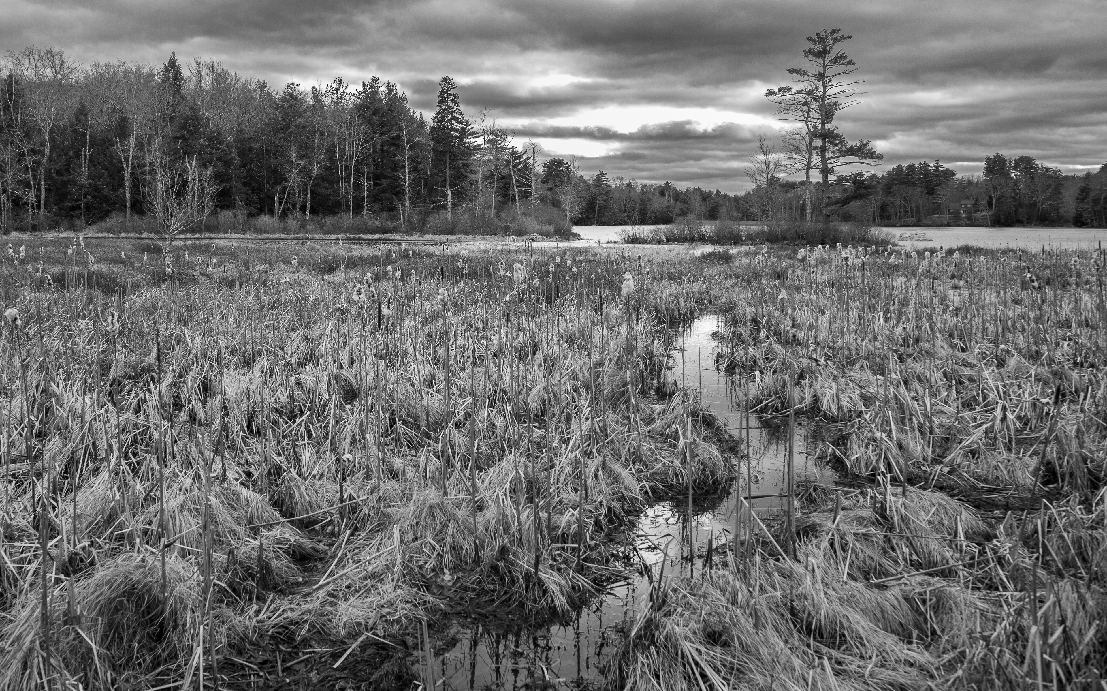 Rollins Pond No5