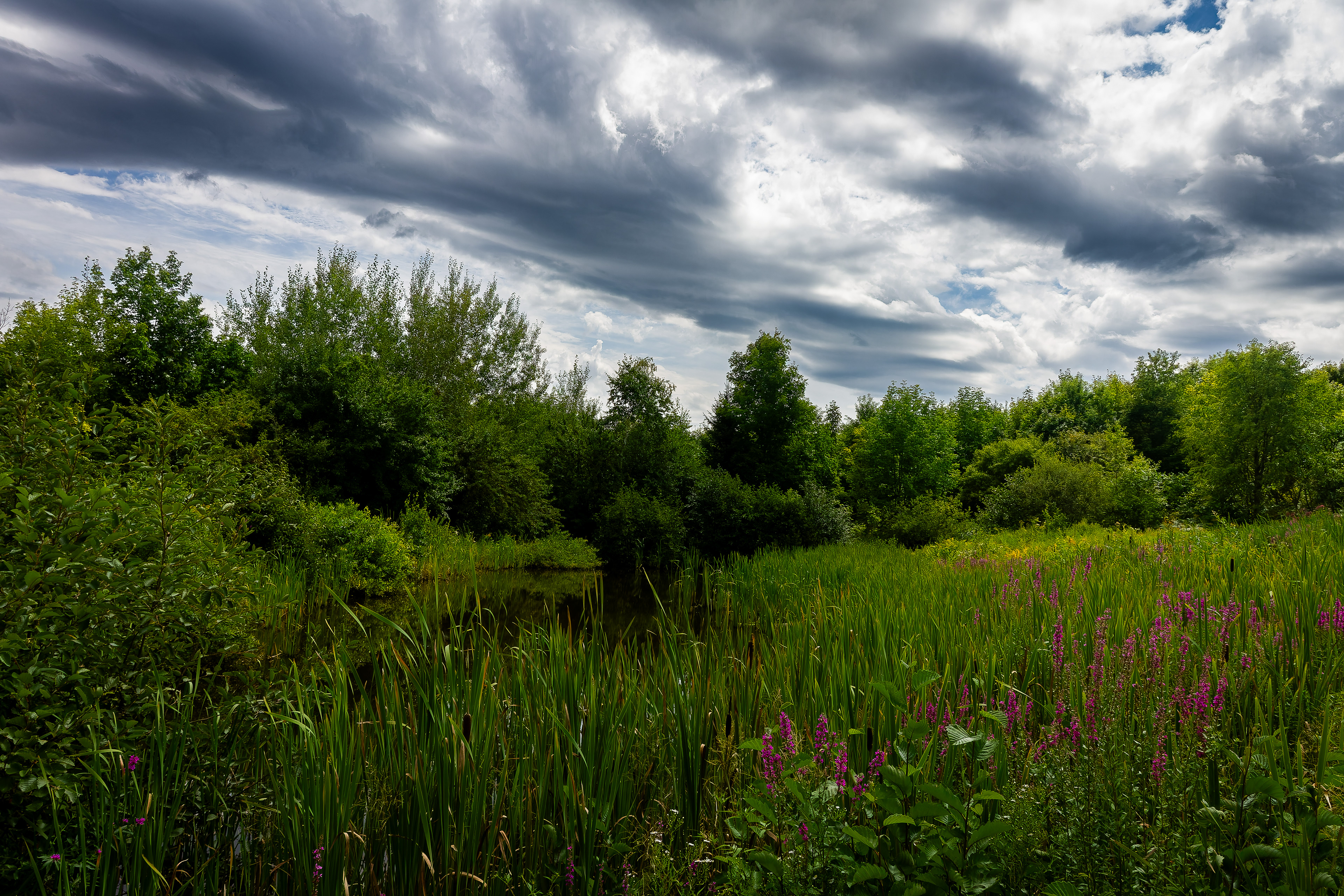 Sugar Hill Pond - August 22, 2026
