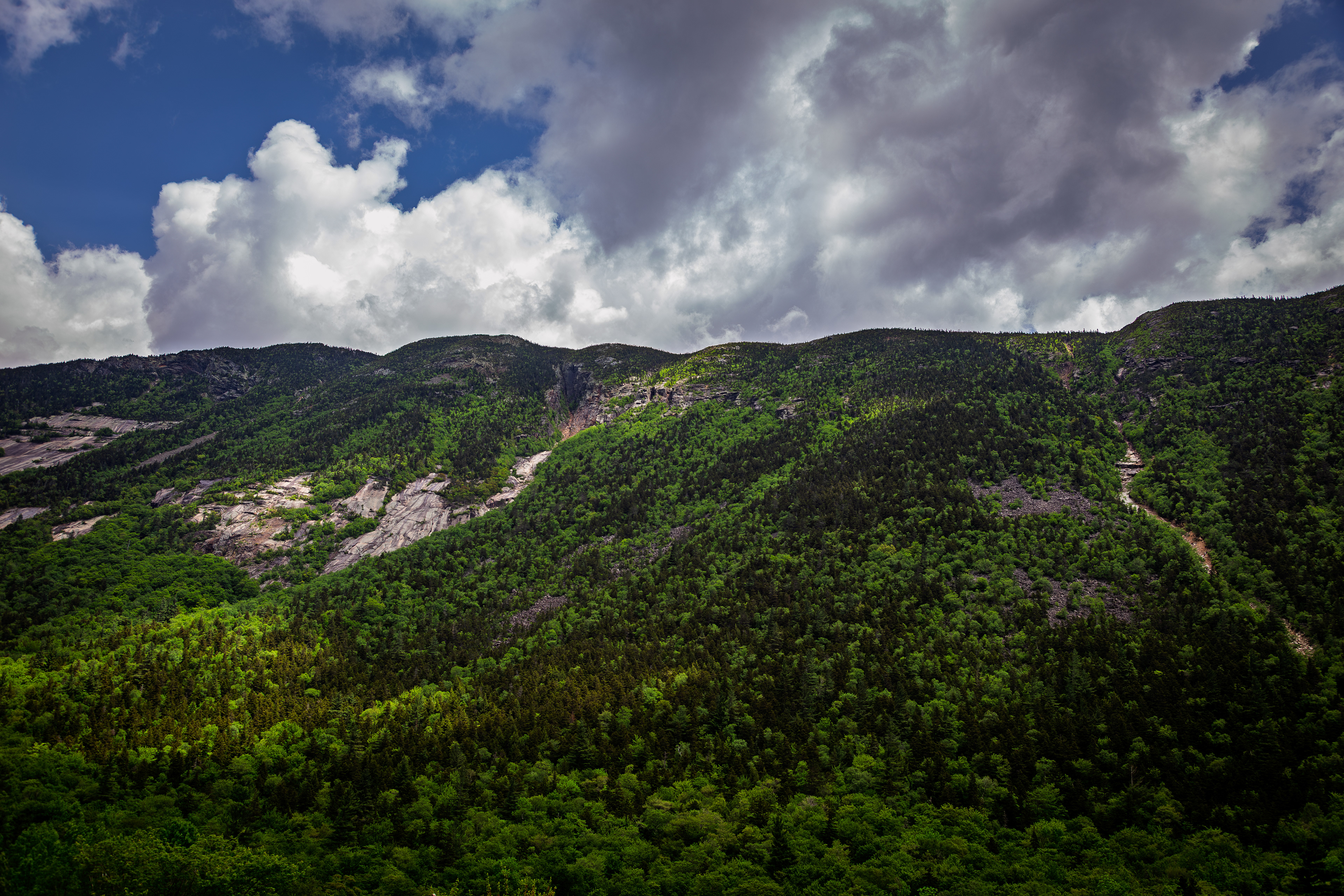 Mount Webster from Willey House No2