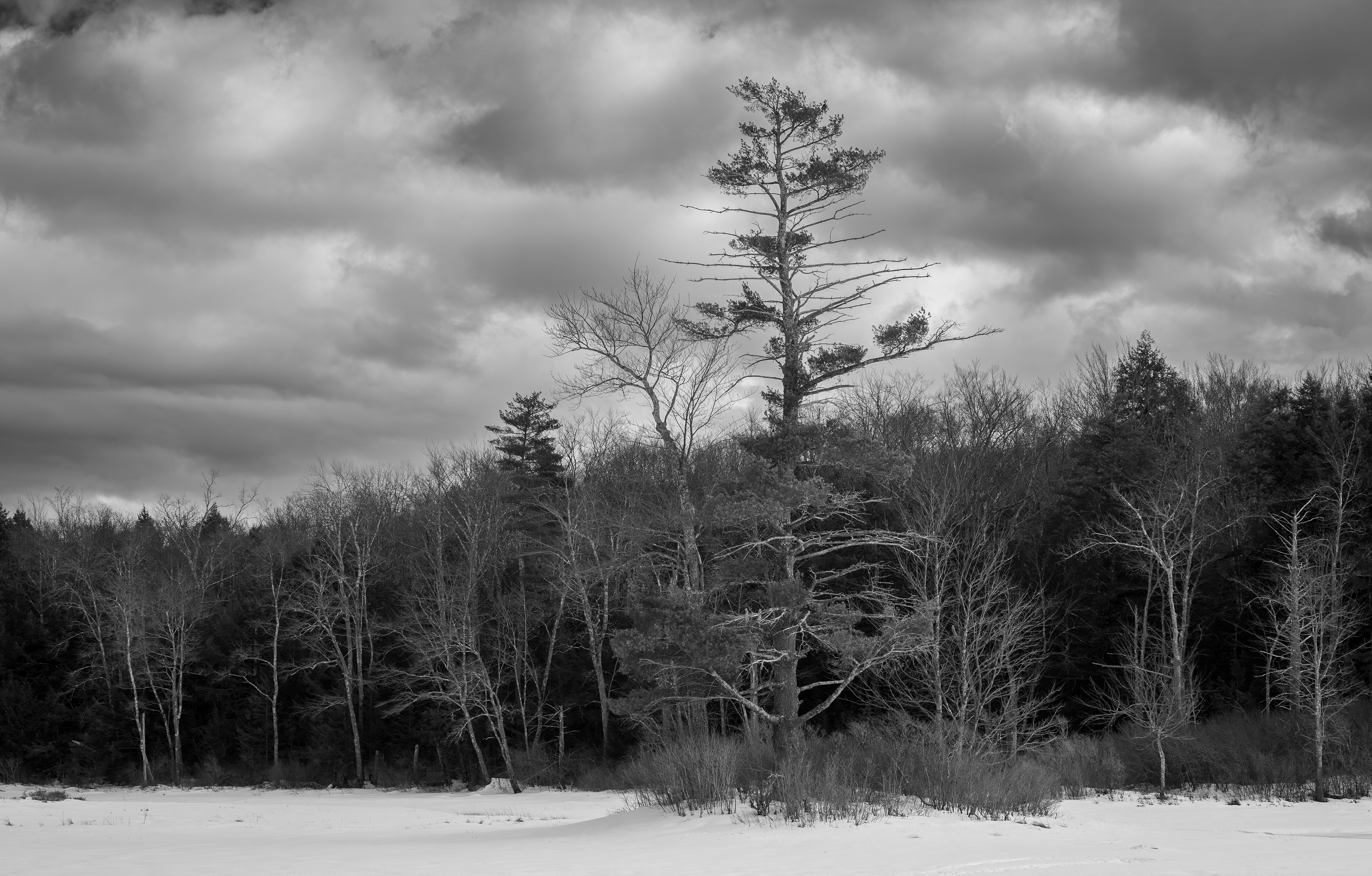 February - Rollins Pond - Gilmanton, NH No7