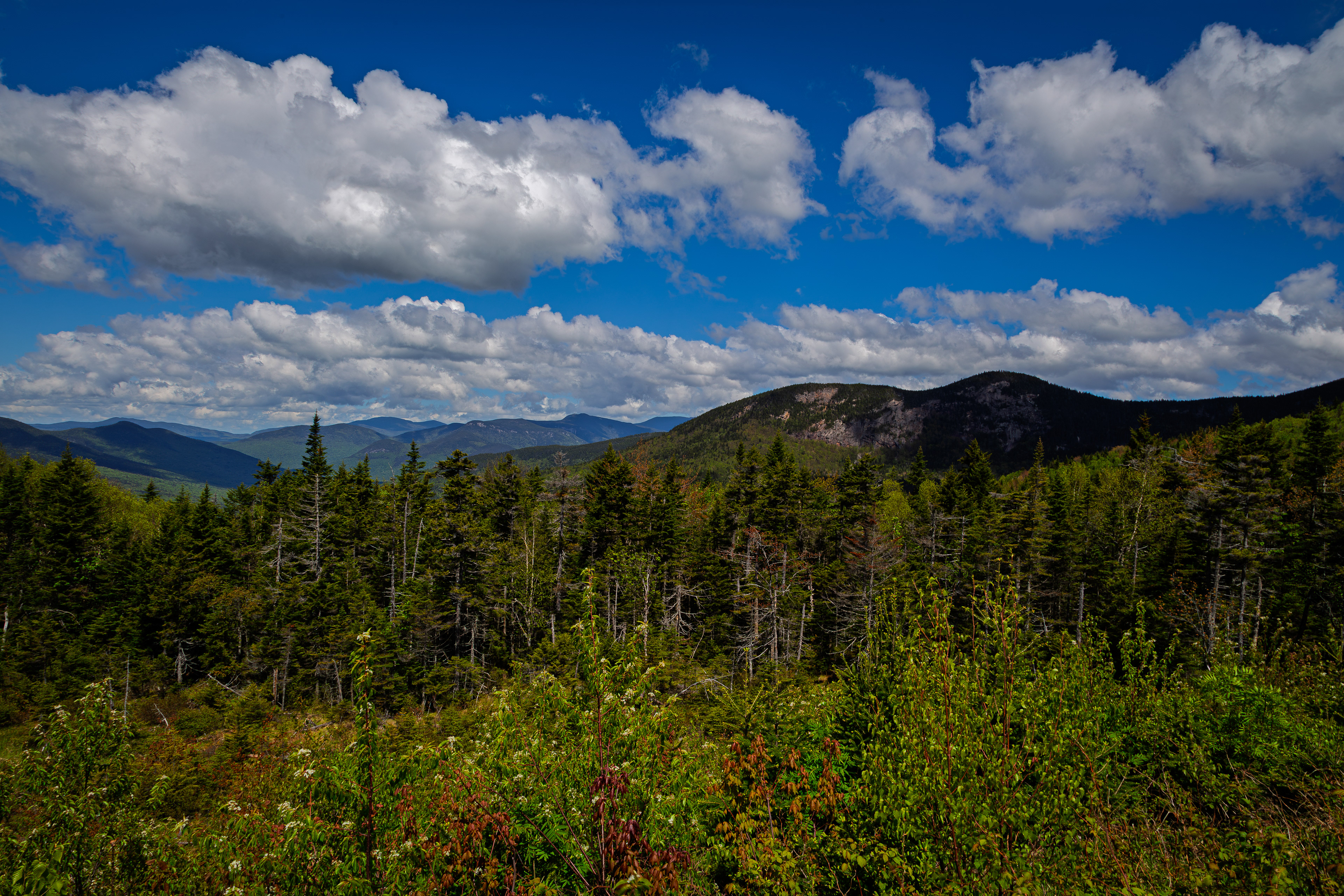 Pemigewasset Scenic Overlook No6