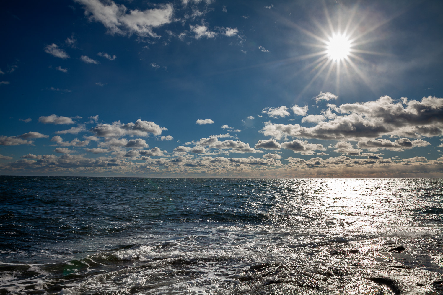 January - Sohier Park - York, Maine No2