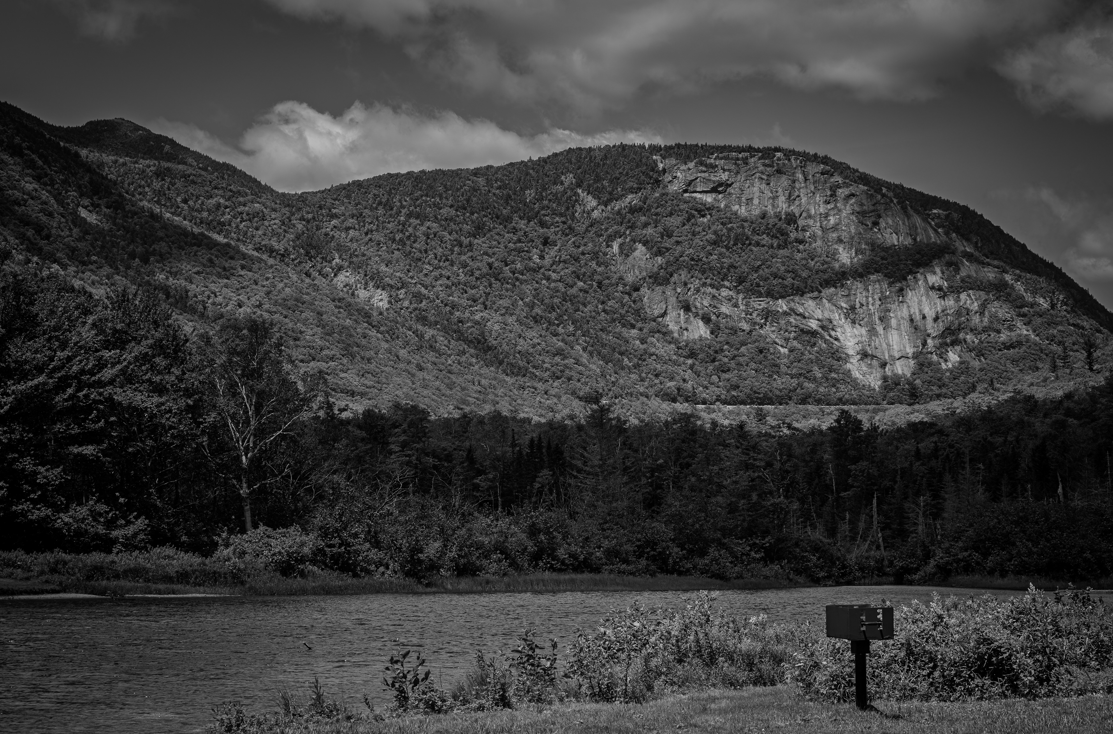 Mount Willard from Willey Pond No5
