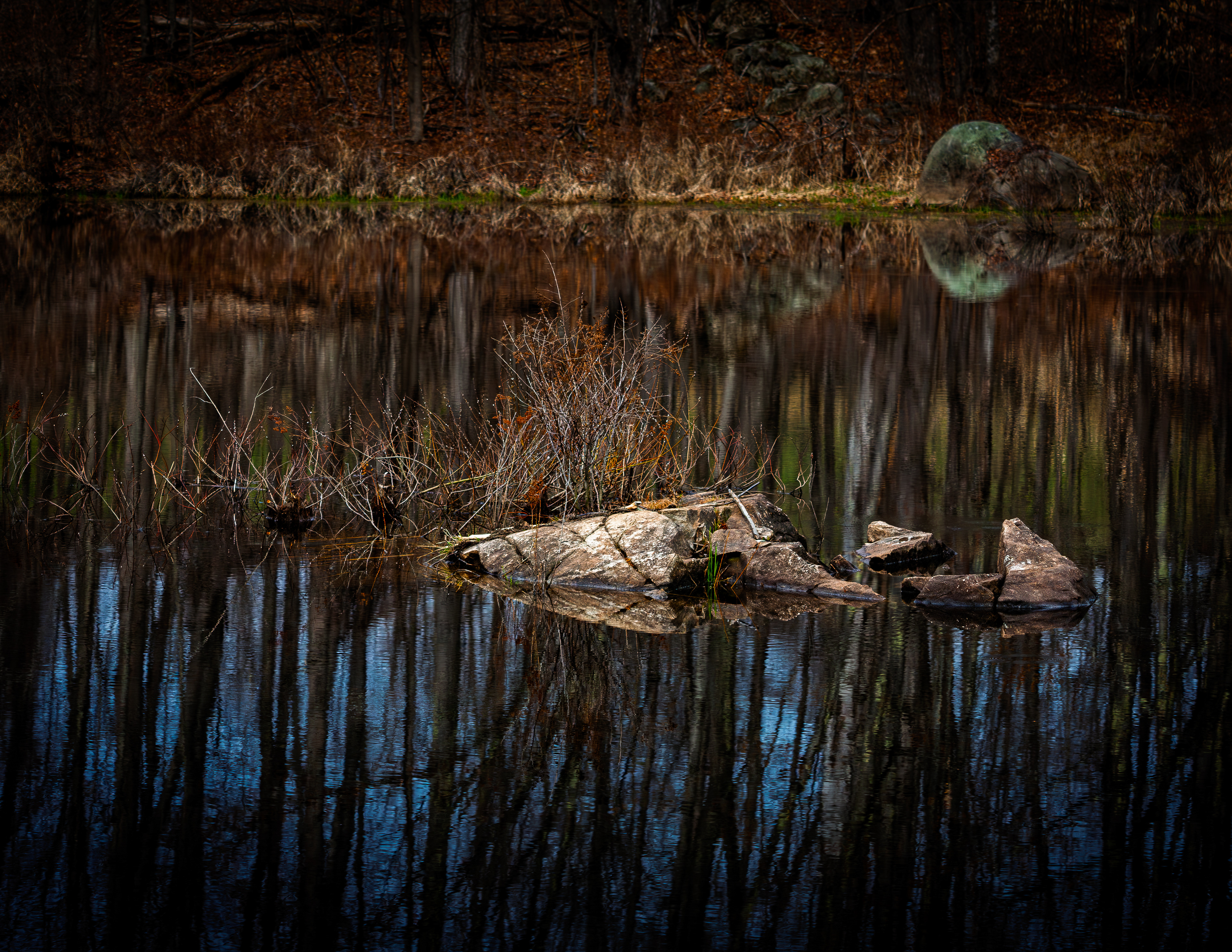 Factory Pond Reflections No8