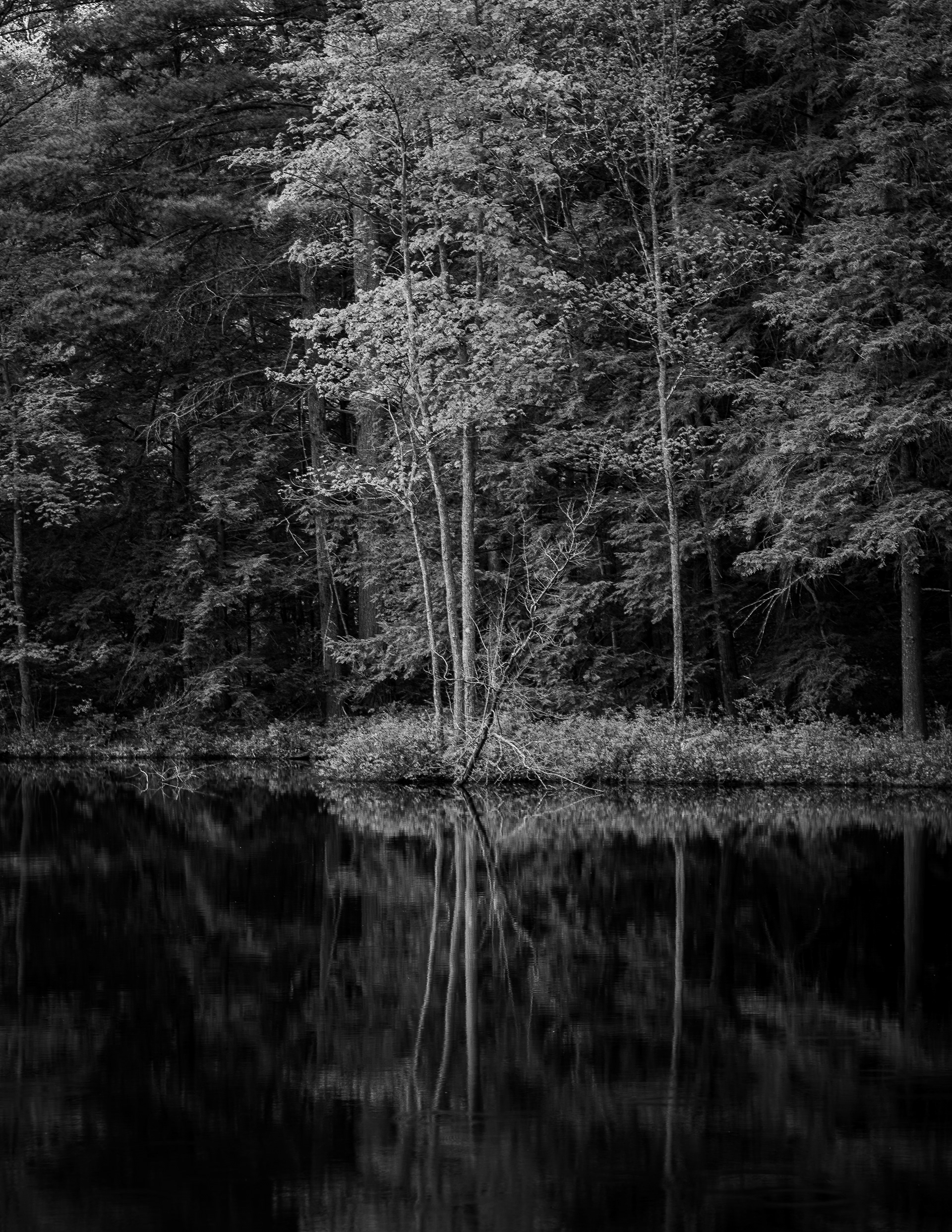 Reflection in Black & White