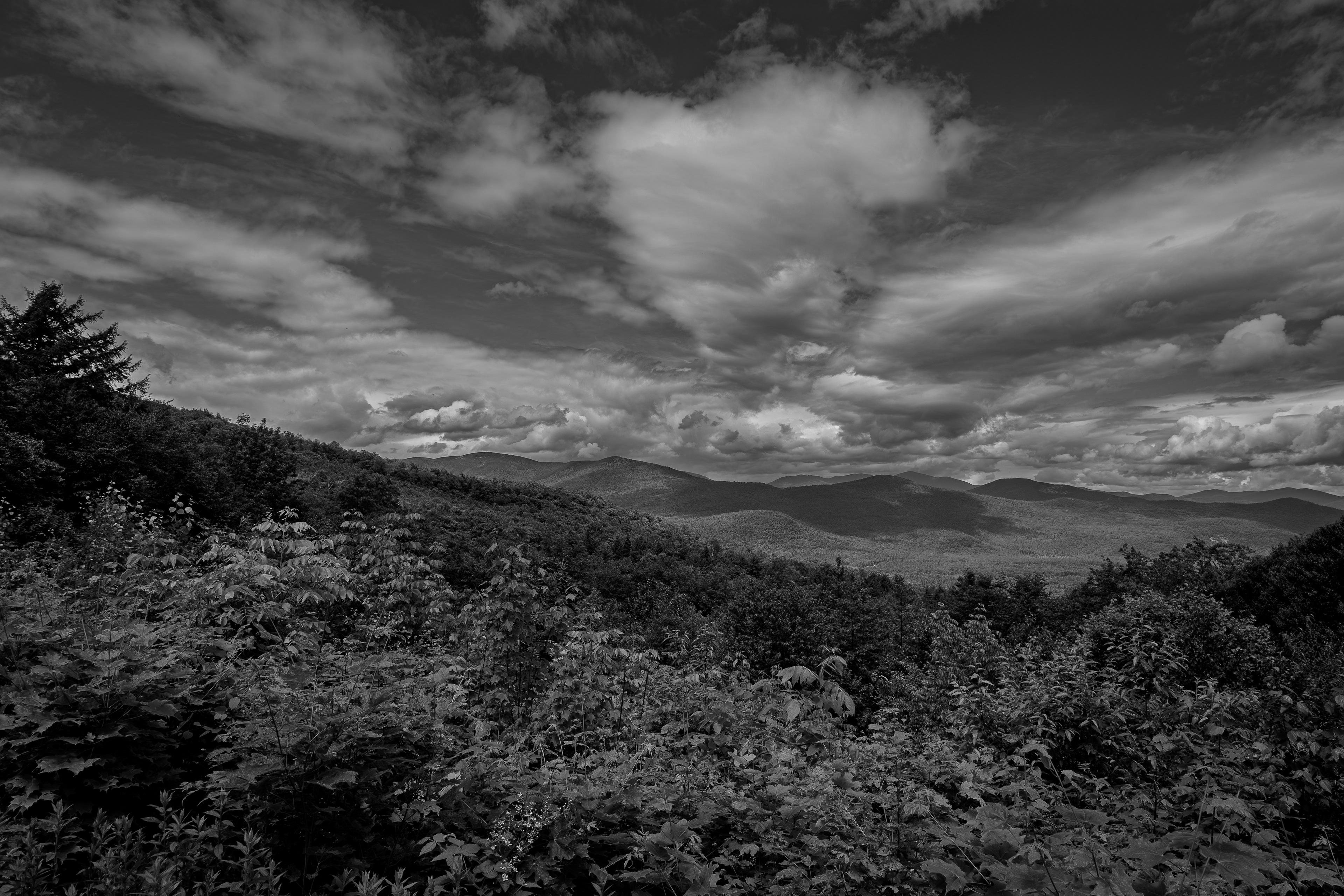 Bear Notch Scenic Vista No13