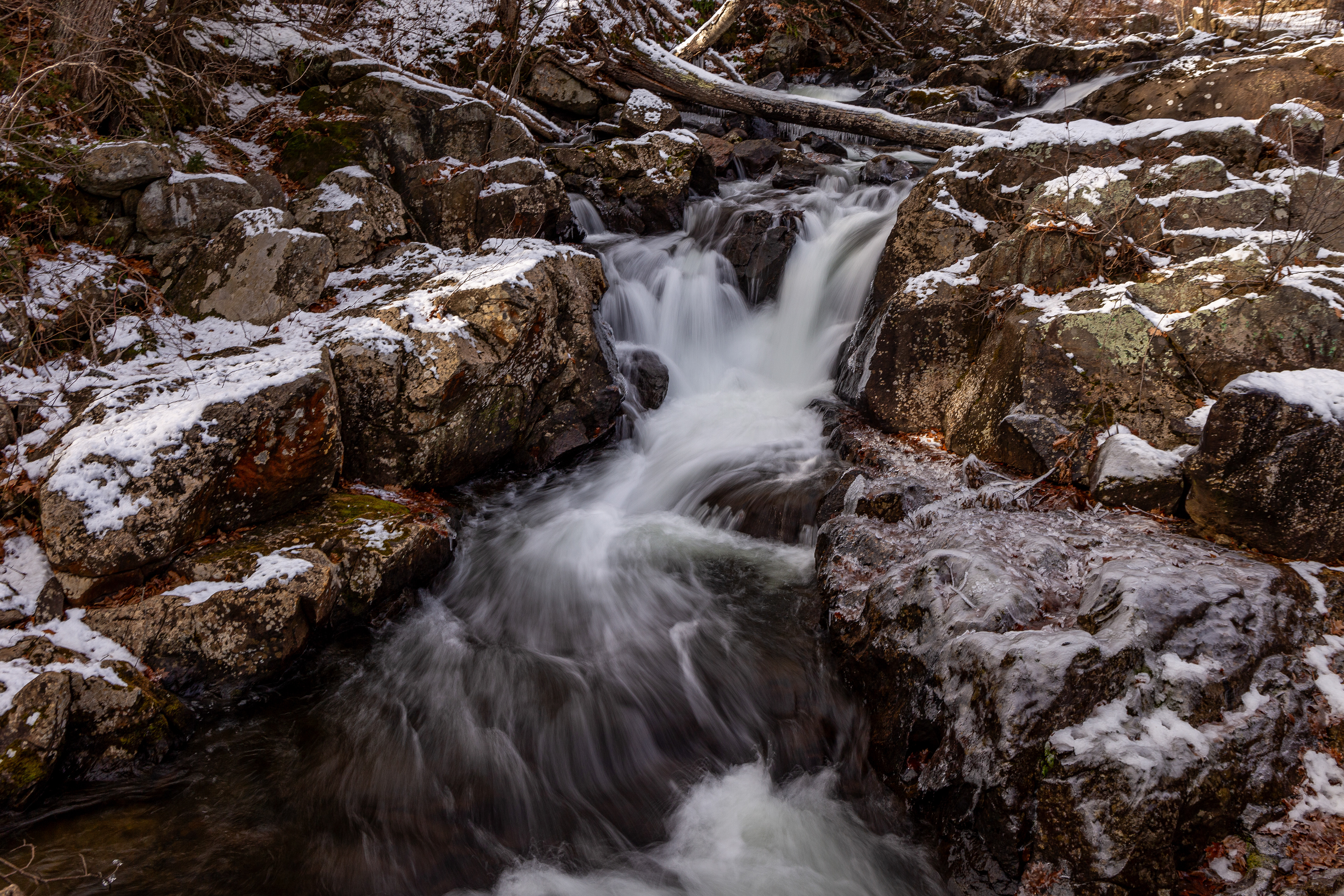 Bristol Falls Park 12-3-2024 No12