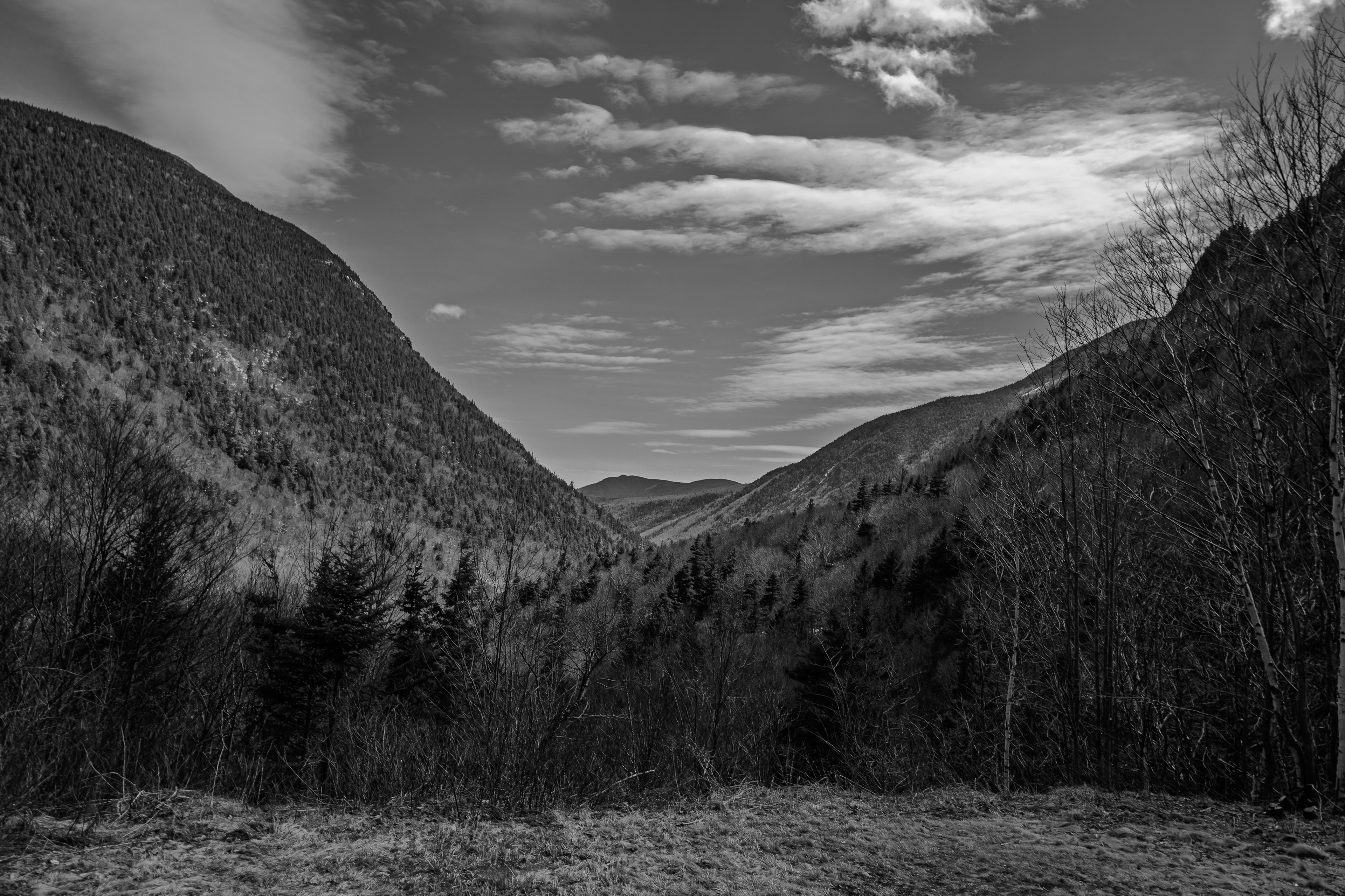 Crawford Notch No1